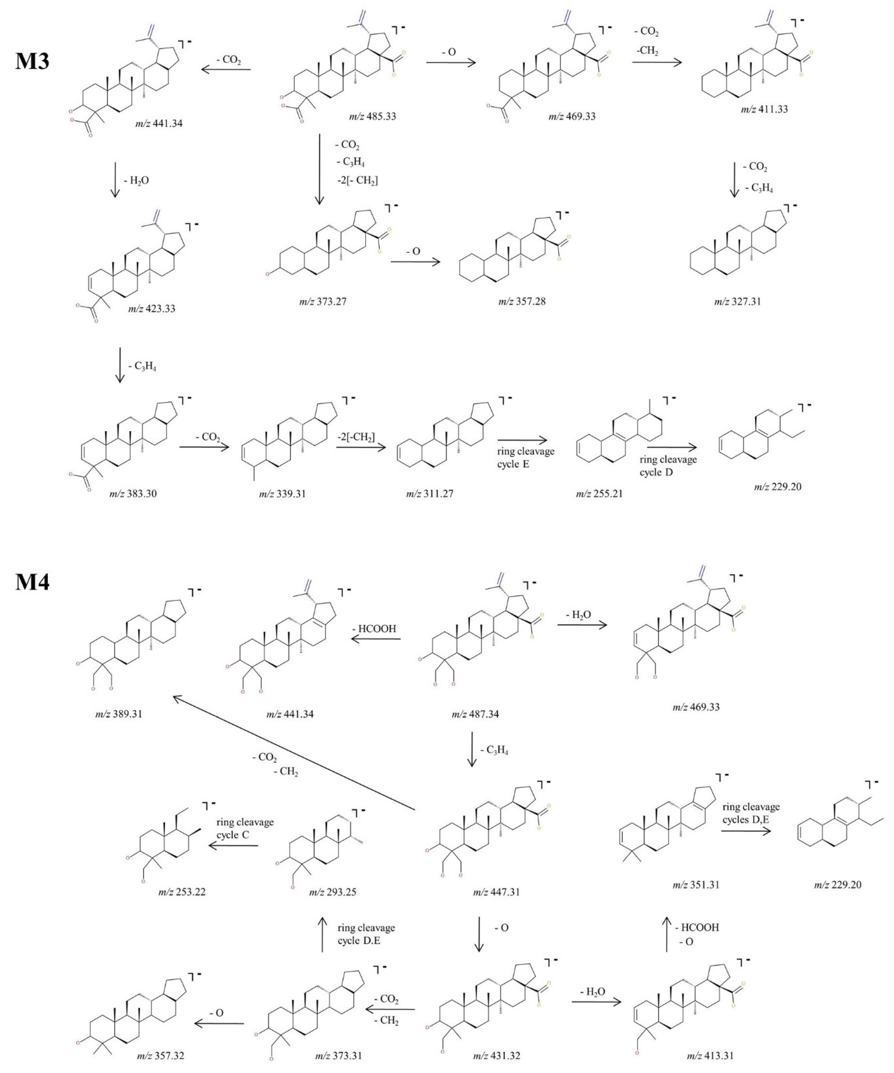 Molecules 27 07359 g005 Molecules 27 07359 g005