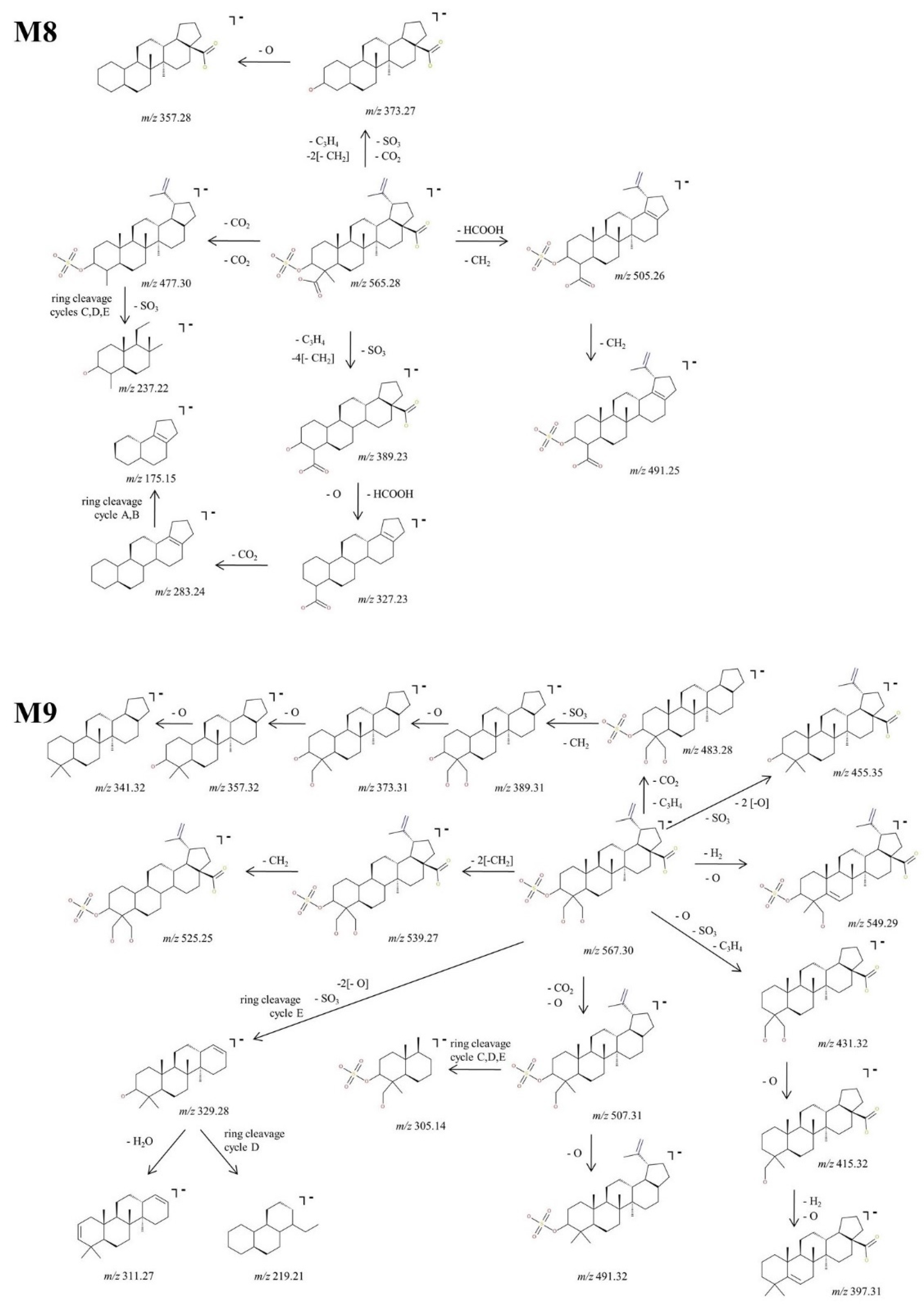 Molecules 27 07359 g008 Molecules 27 07359 g008