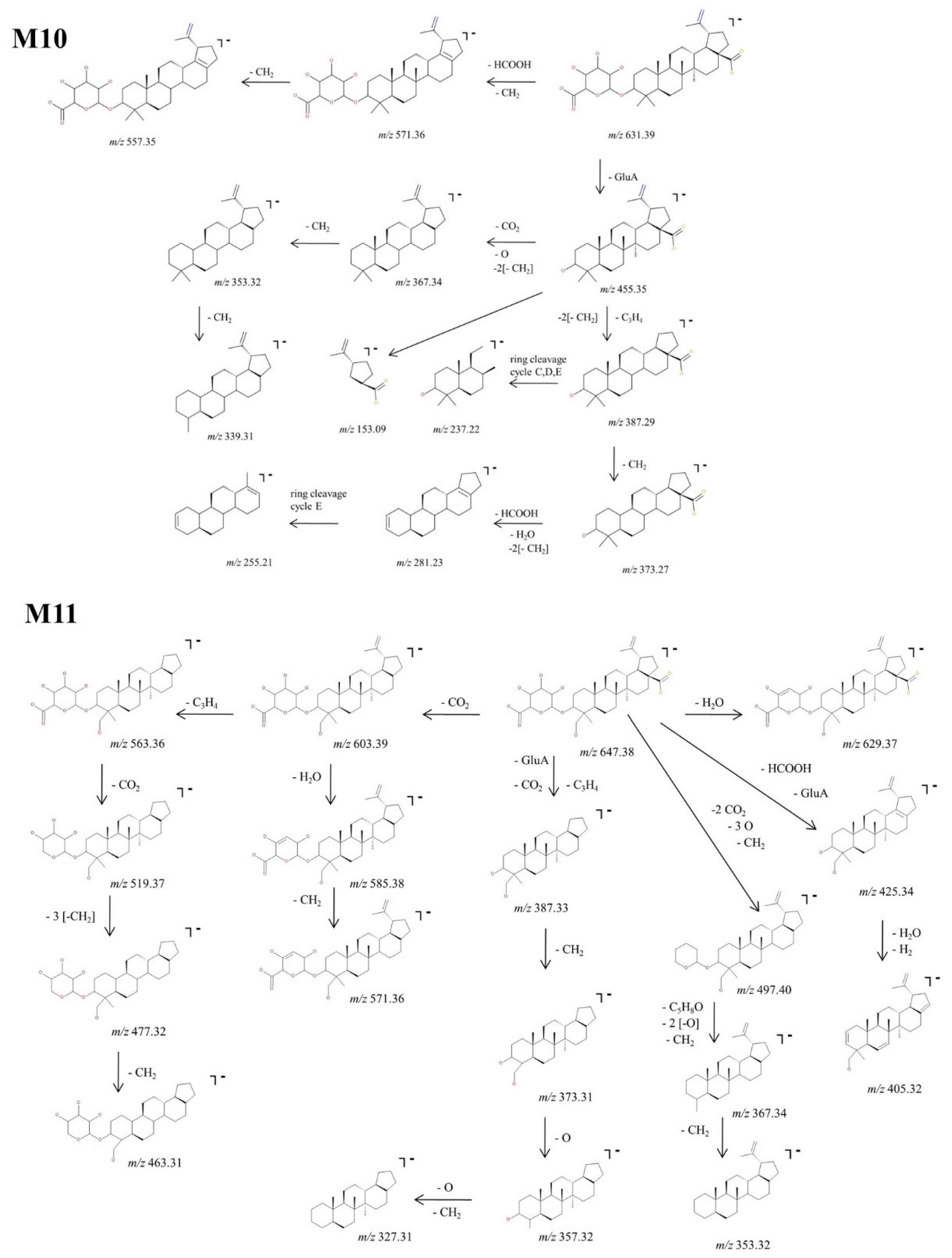 Molecules 27 07359 g009 Molecules 27 07359 g009