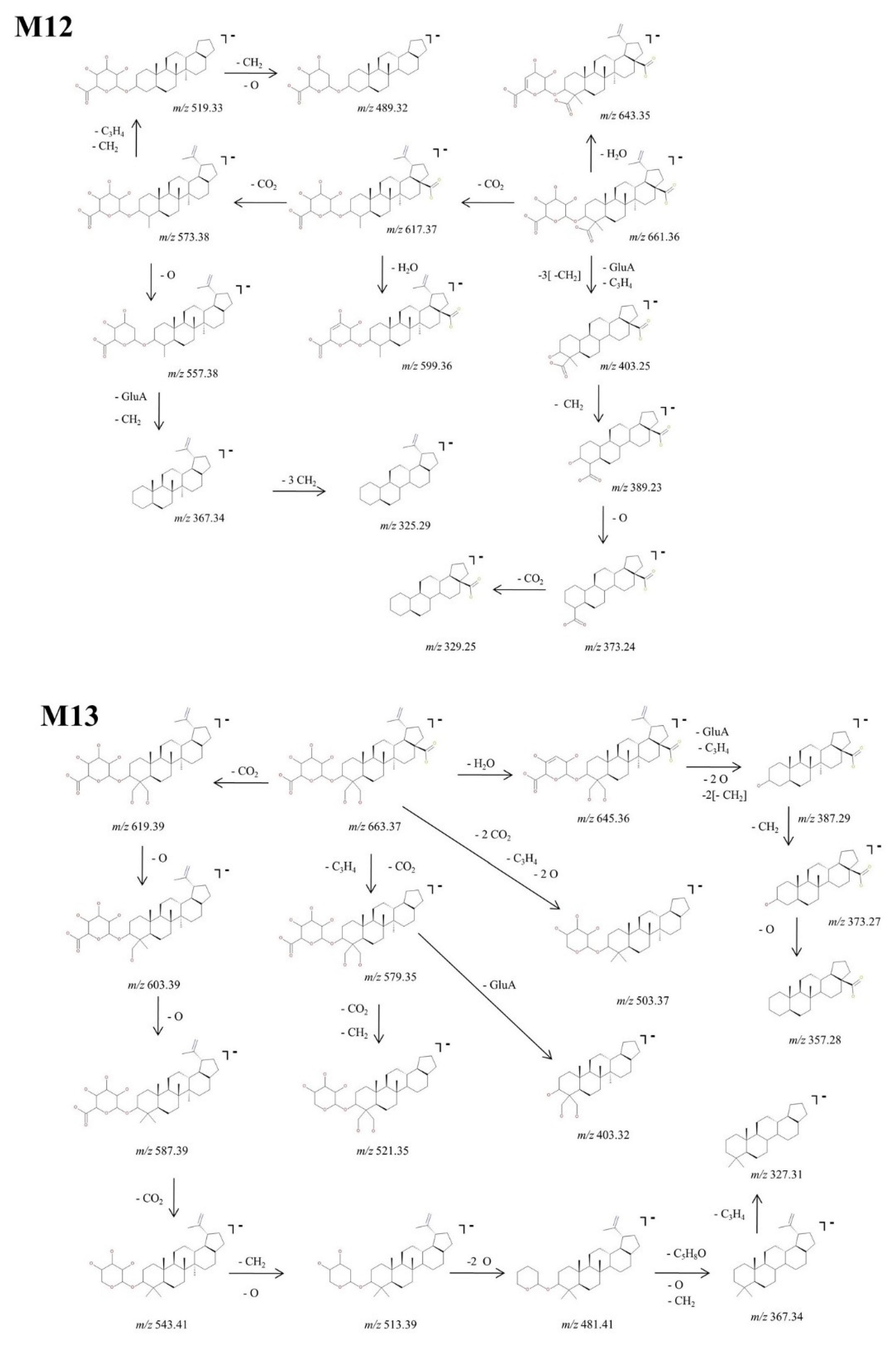 Molecules 27 07359 g010 Molecules 27 07359 g010