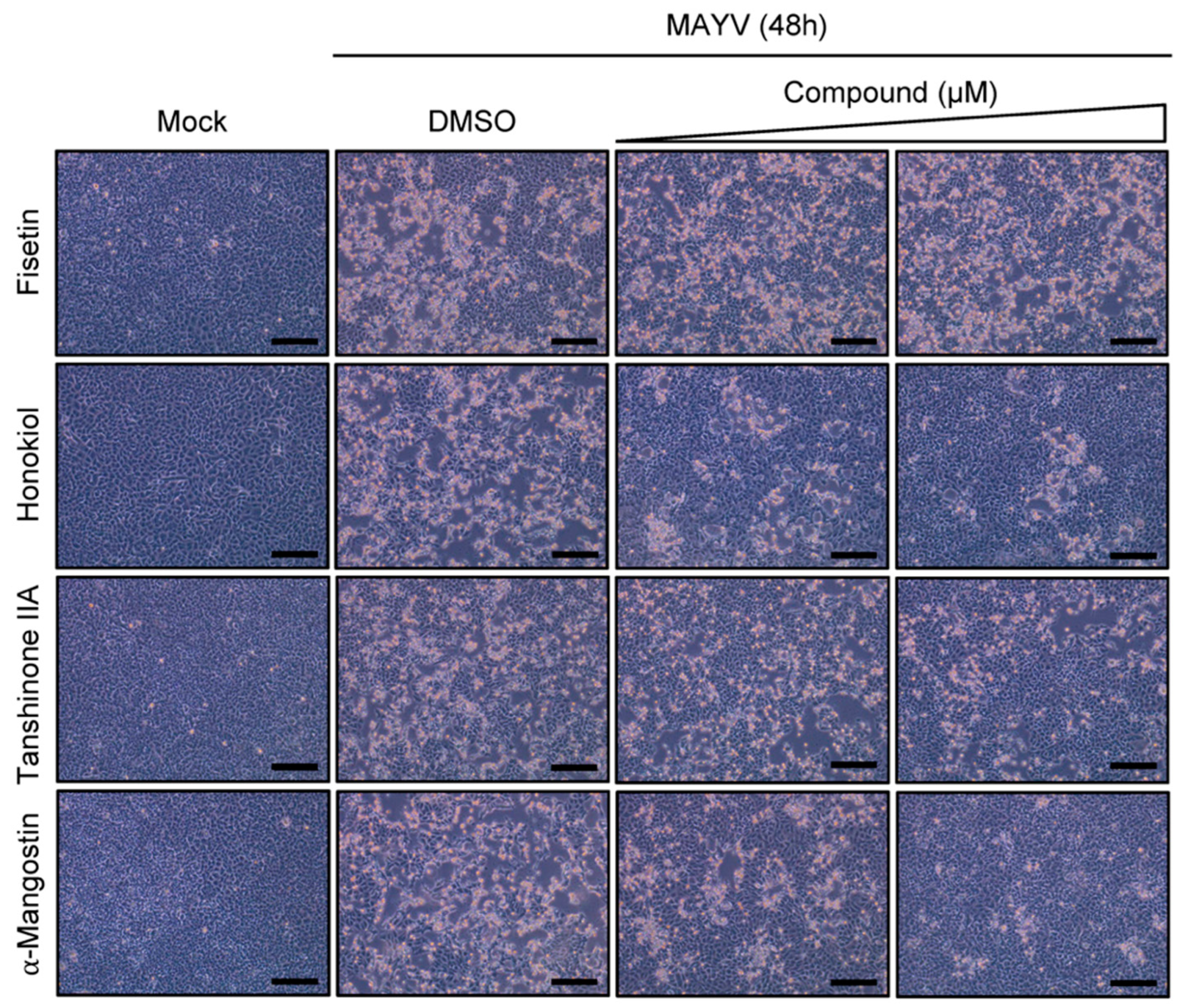 Molecules 27 07362 g003 Molecules 27 07362 g003