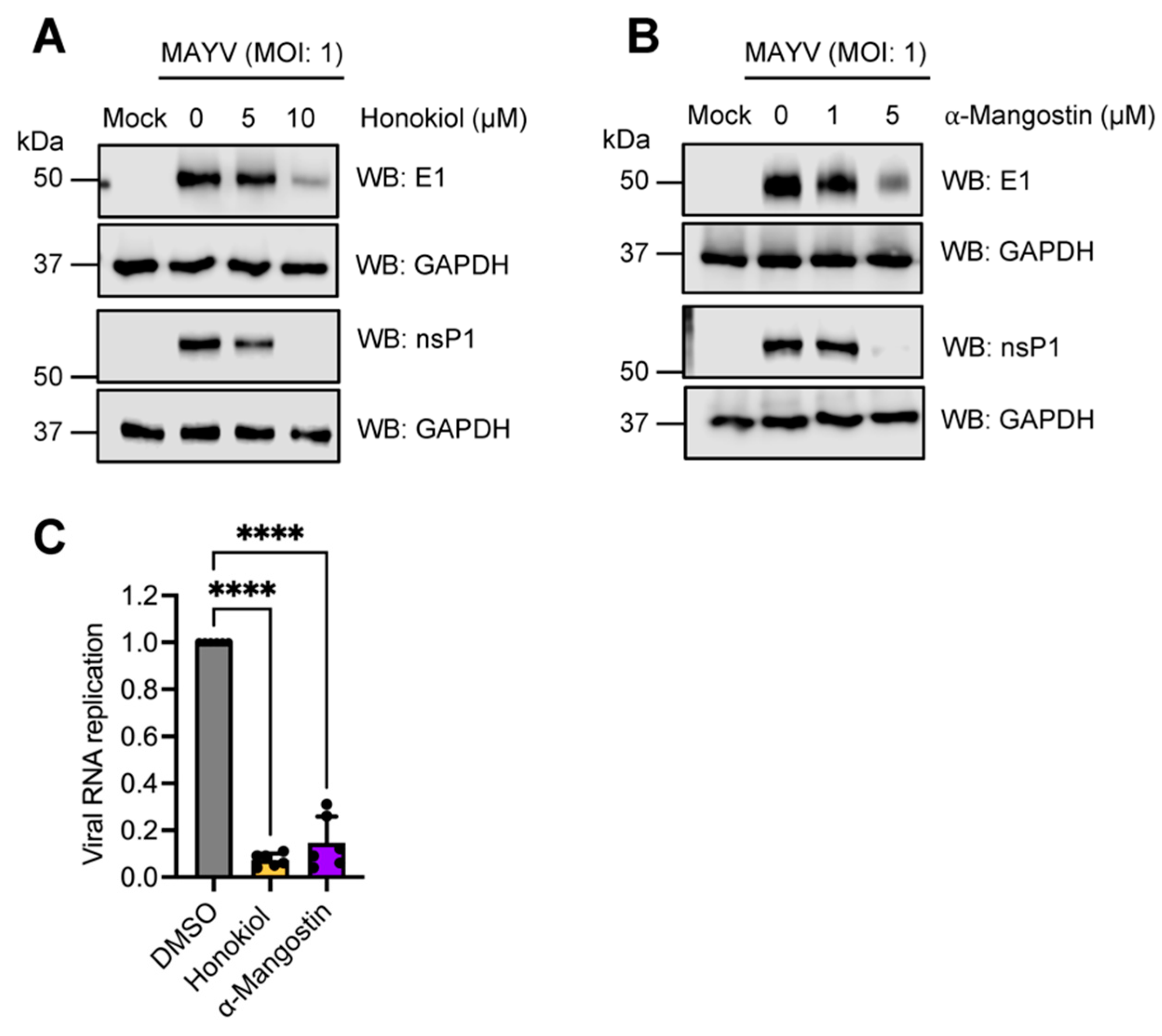 Molecules 27 07362 g008 Molecules 27 07362 g008