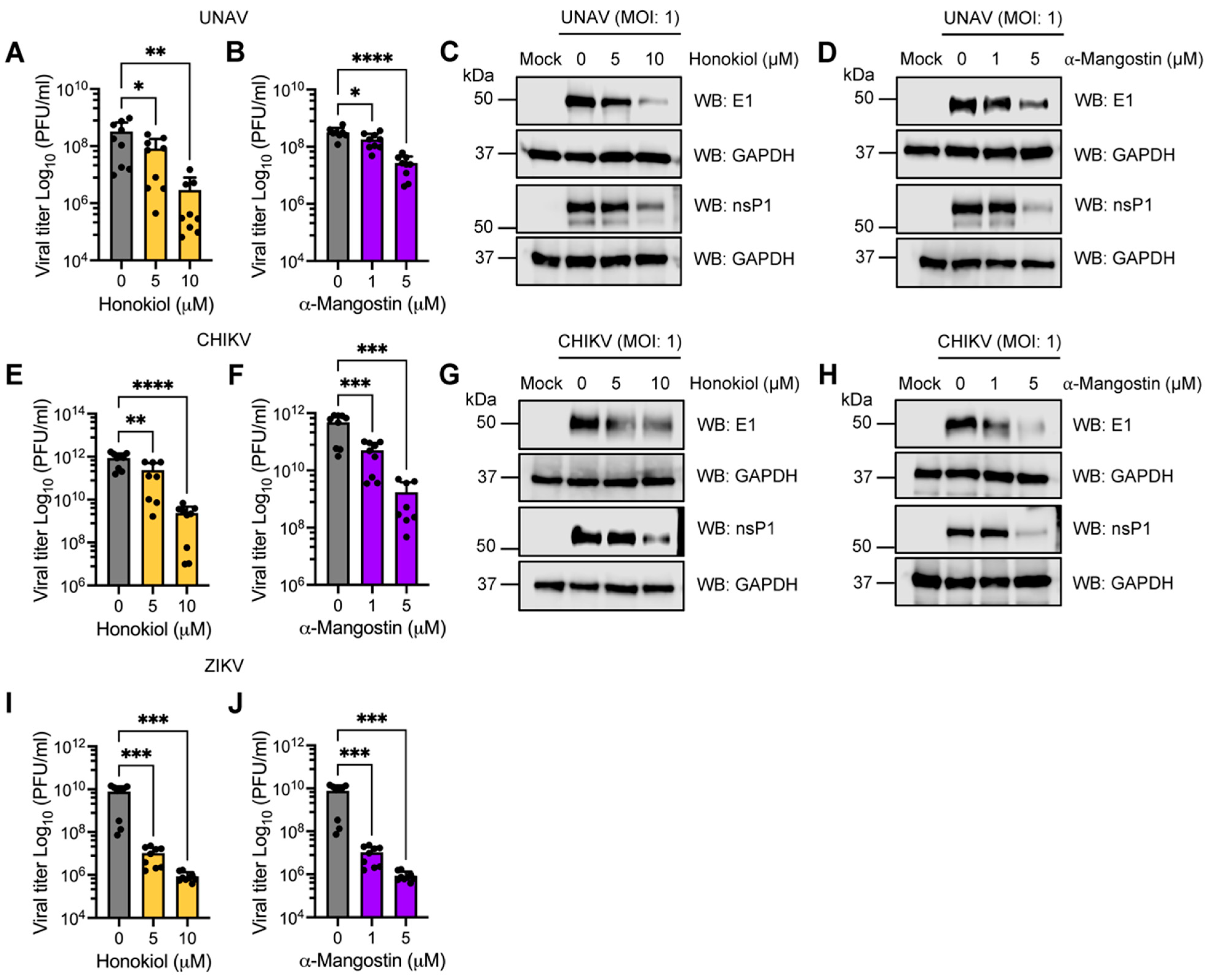 Molecules 27 07362 g009 Molecules 27 07362 g009
