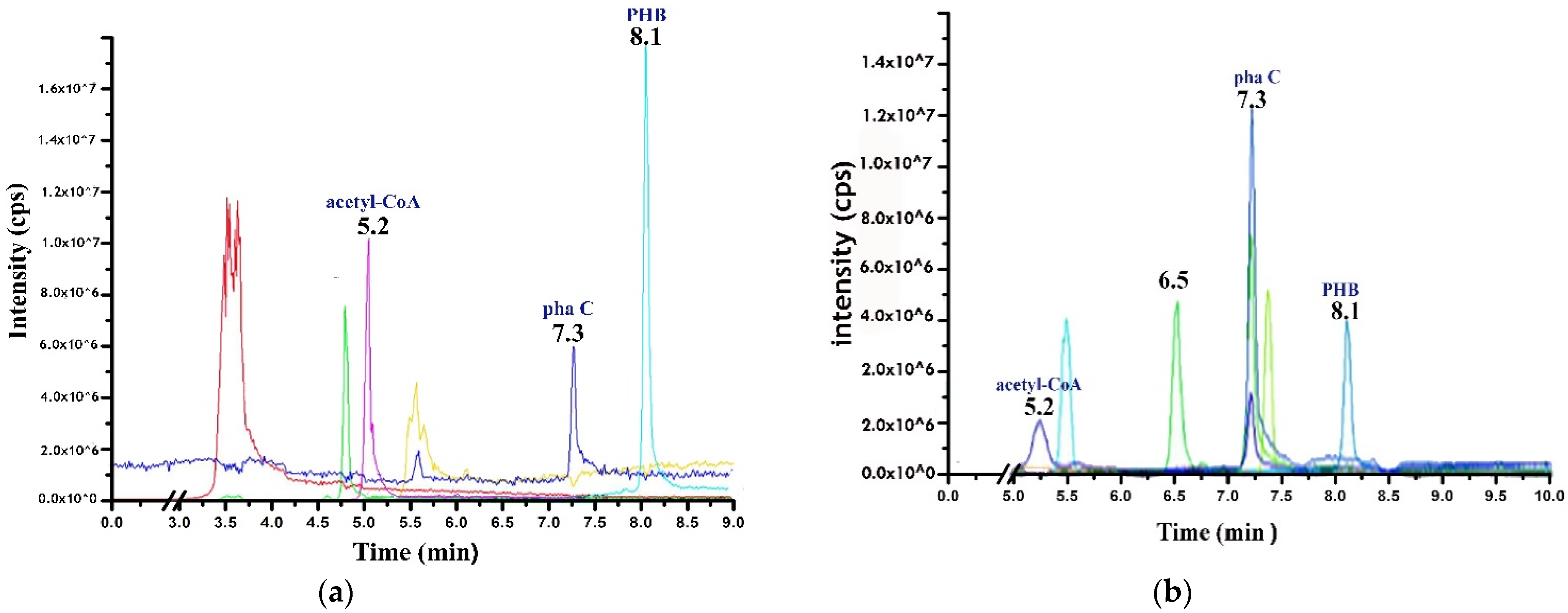 Molecules 27 07366 g007 Molecules 27 07366 g007