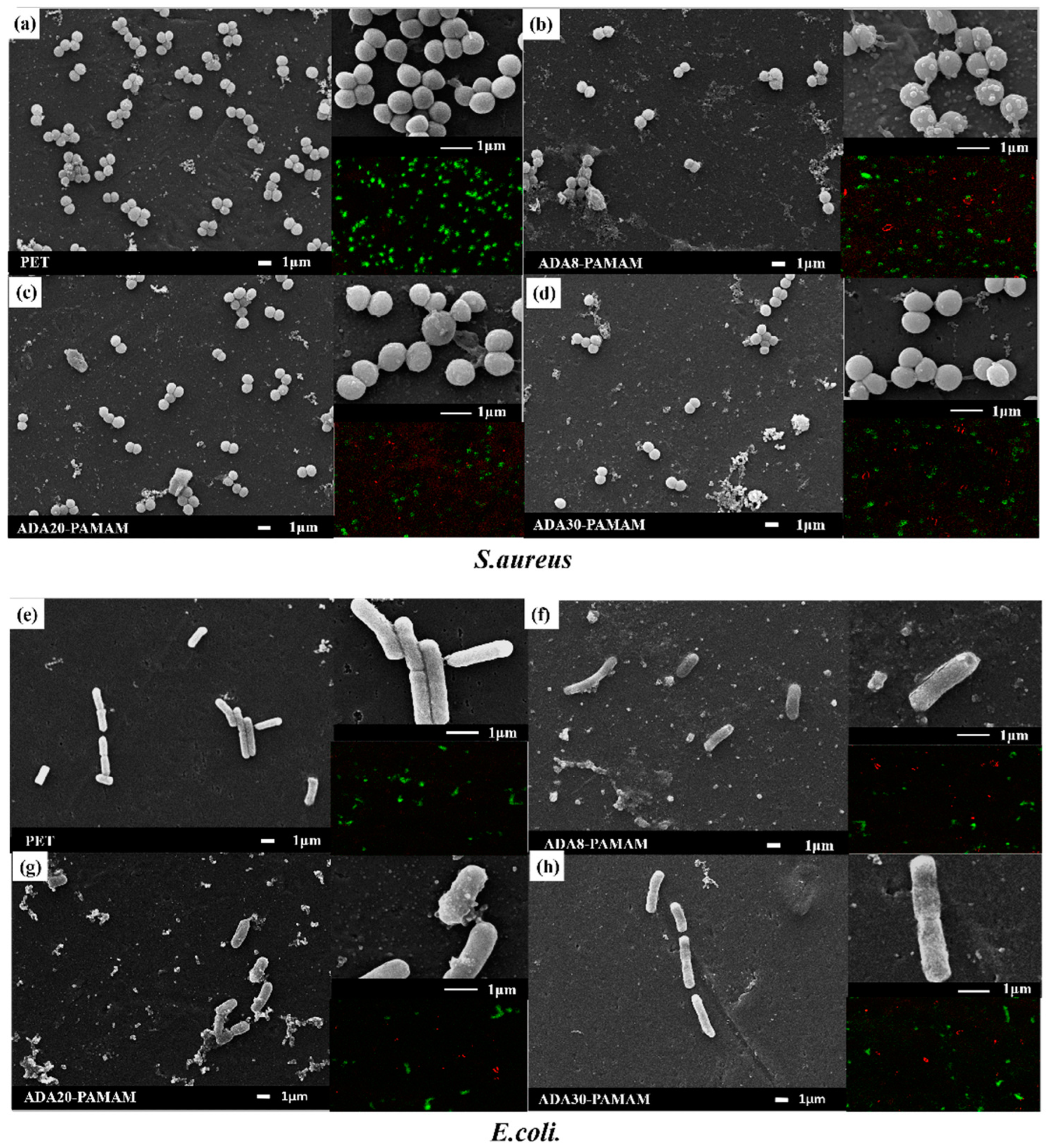 Molecules 27 07367 g007 Molecules 27 07367 g007
