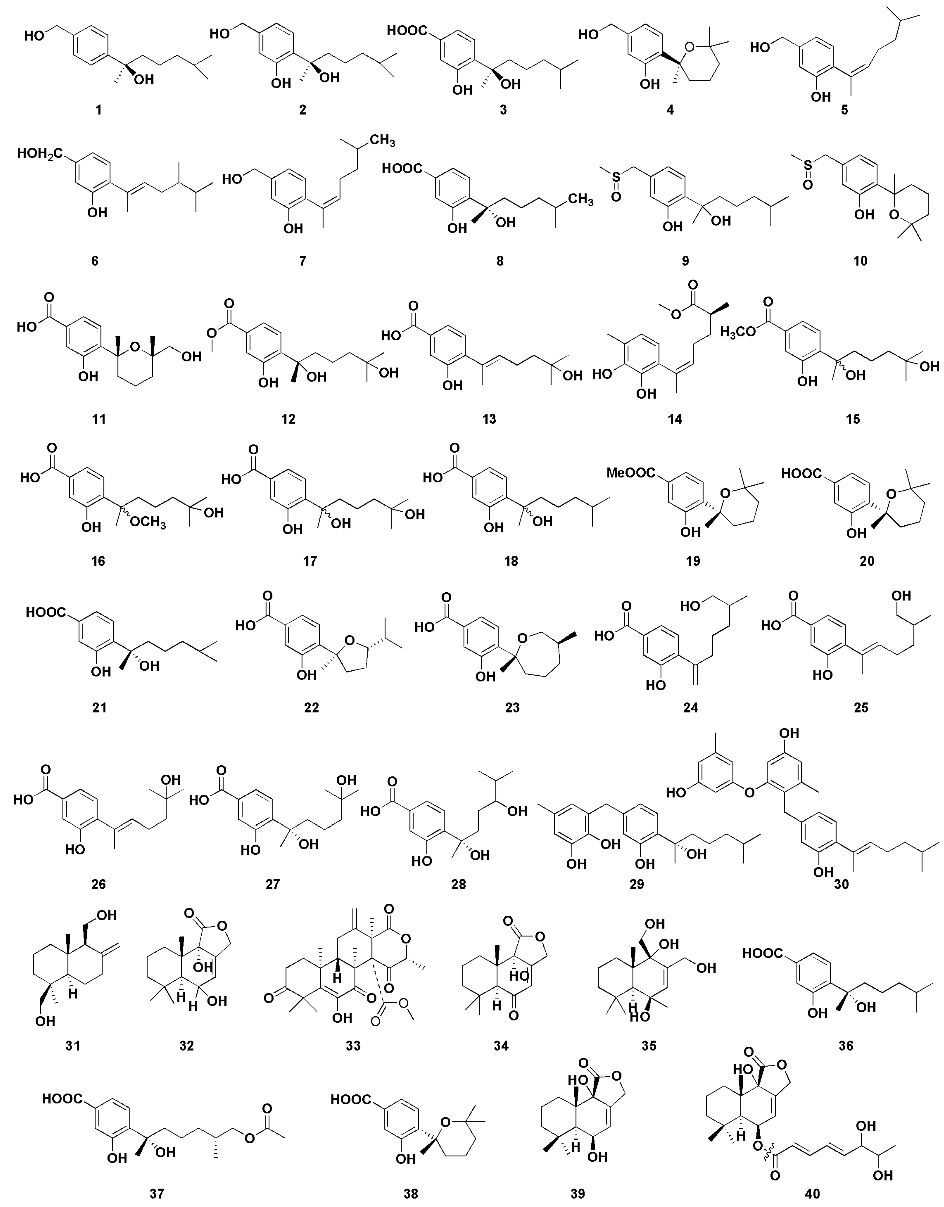 Molecules 27 07376 g005 Molecules 27 07376 g005