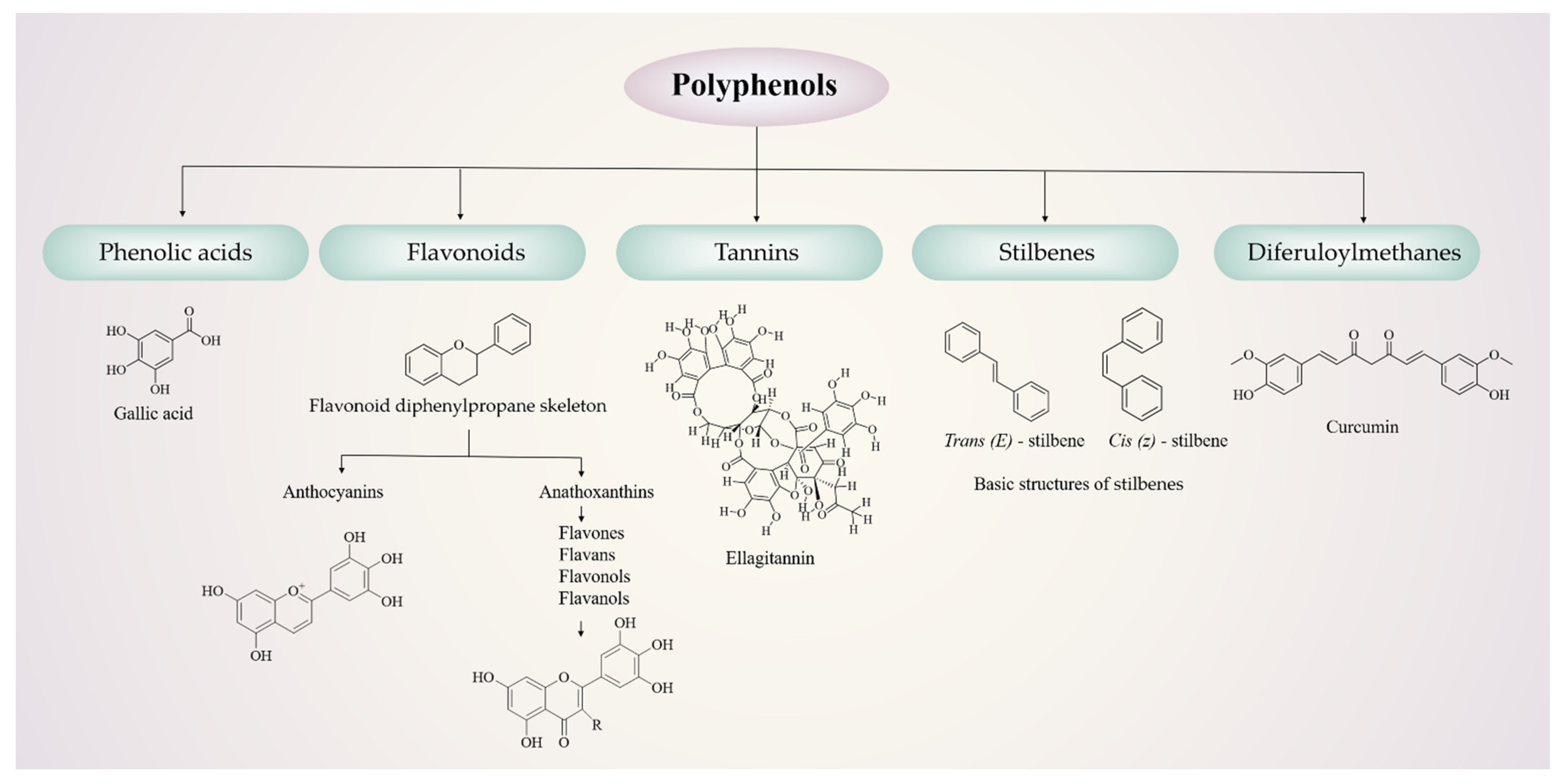 Molecules 27 07377 g001 Molecules 27 07377 g001