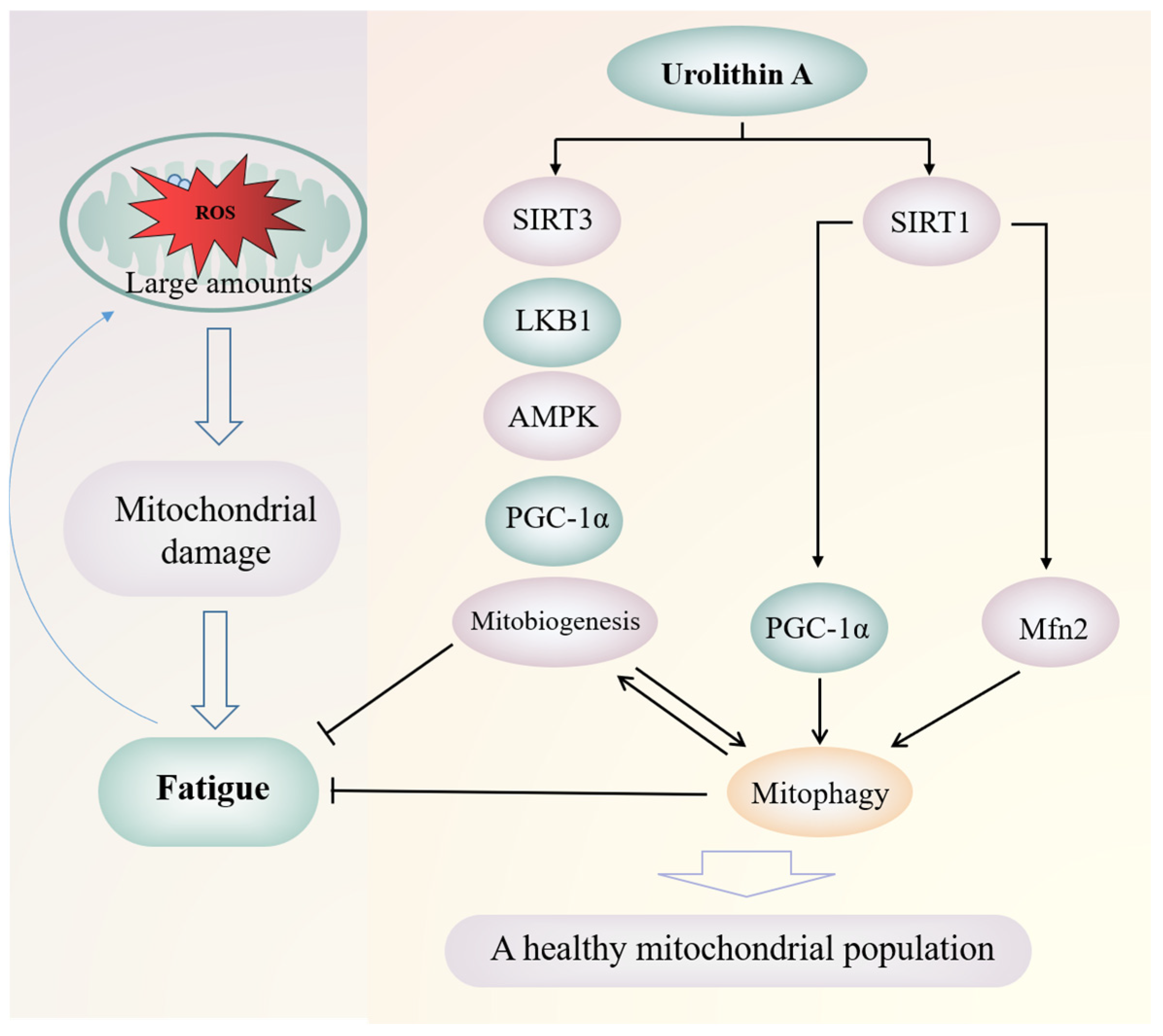 Molecules 27 07377 g004 Molecules 27 07377 g004