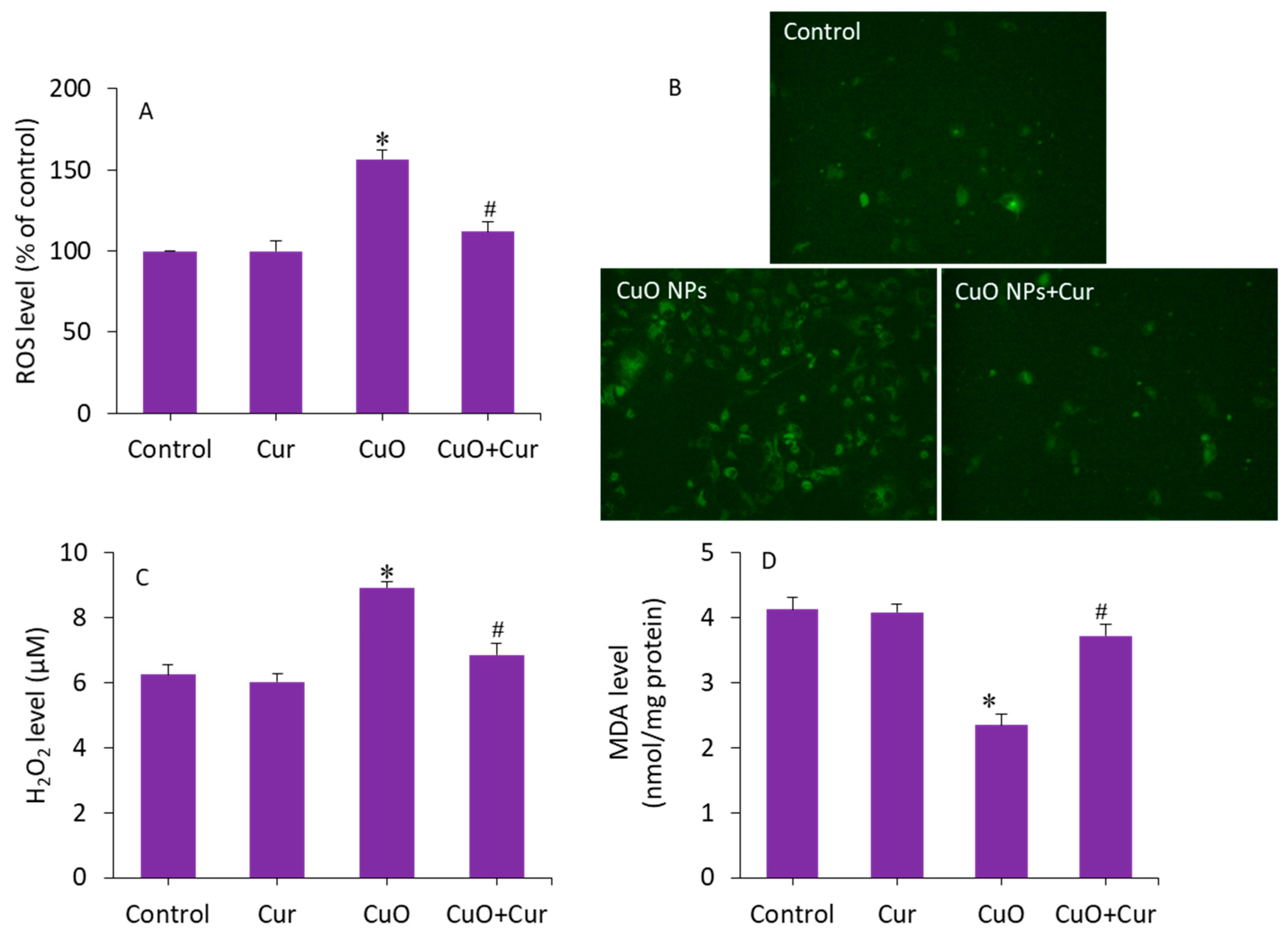 Molecules 27 07378 g006 Molecules 27 07378 g006