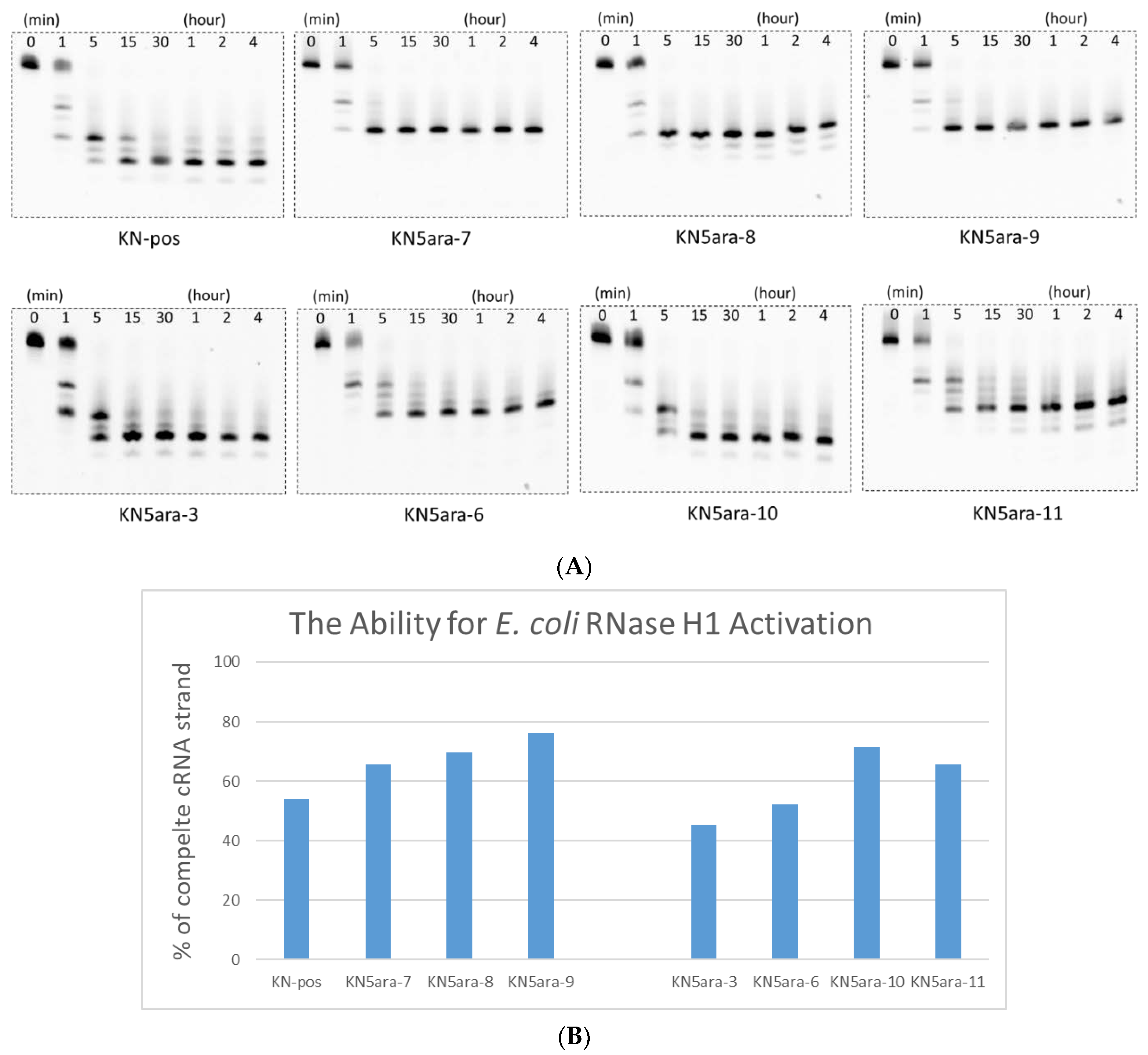 Molecules 27 07384 g002
