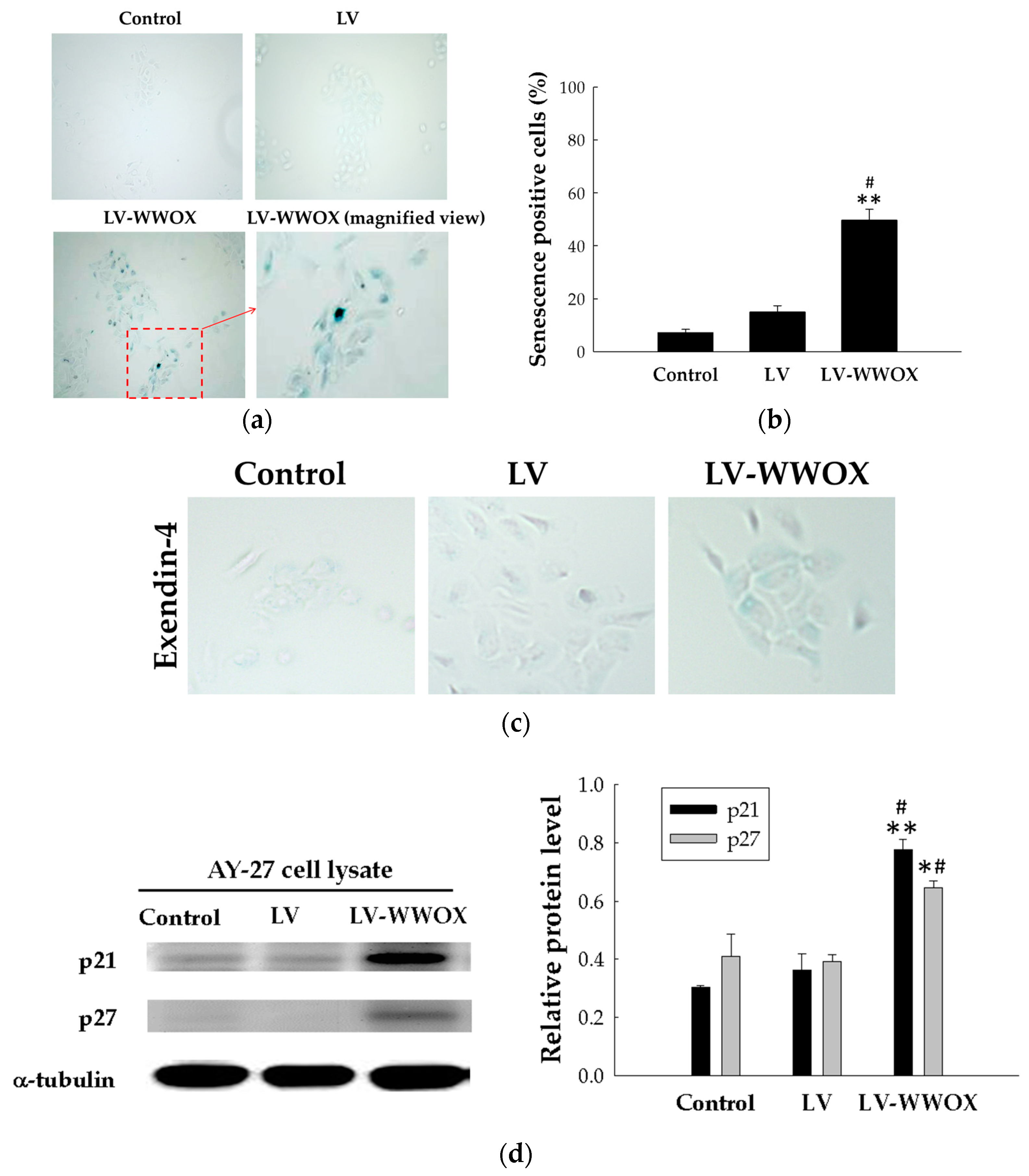 Molecules 27 07388 g004 Molecules 27 07388 g004