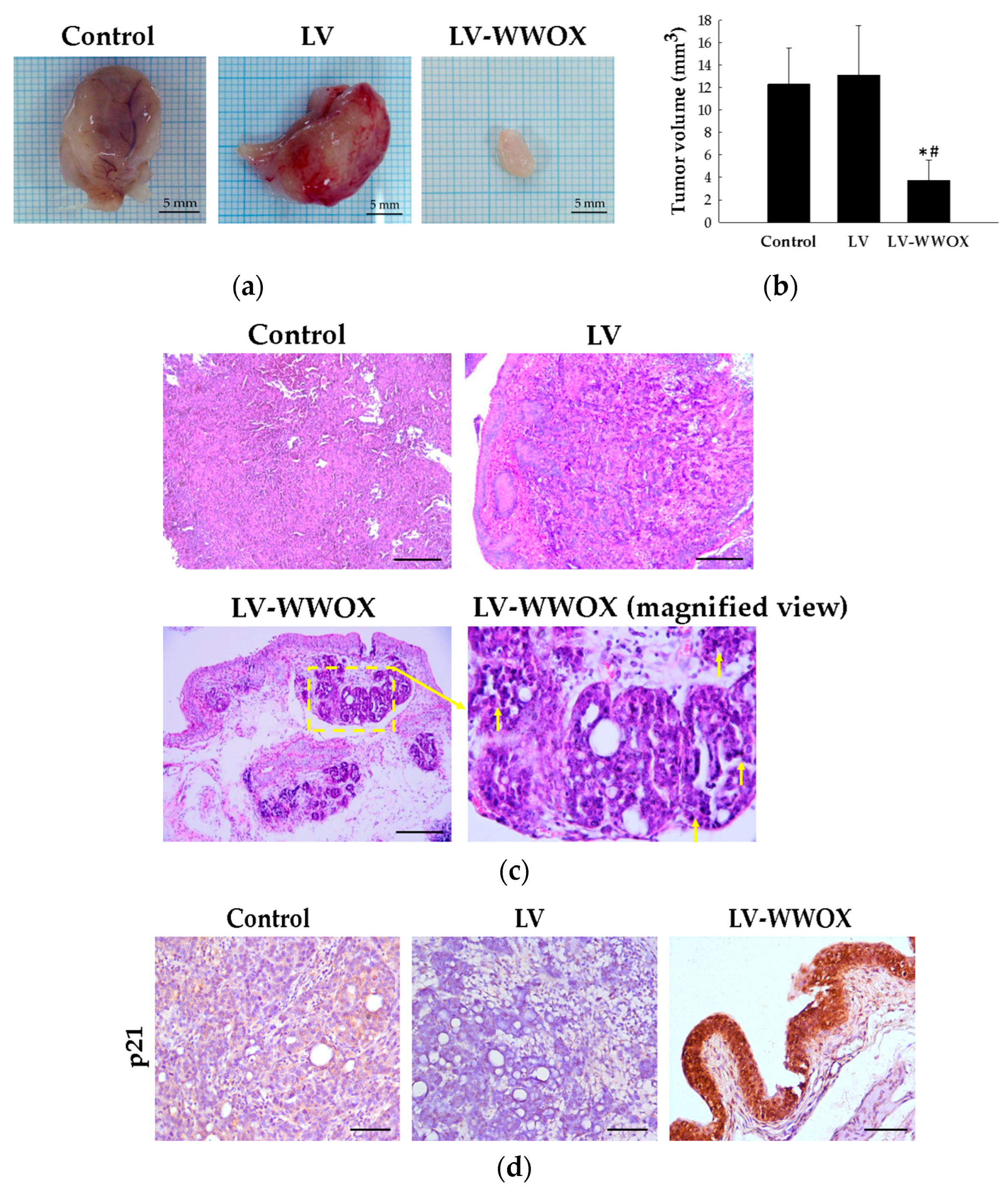 Molecules 27 07388 g005 Molecules 27 07388 g005