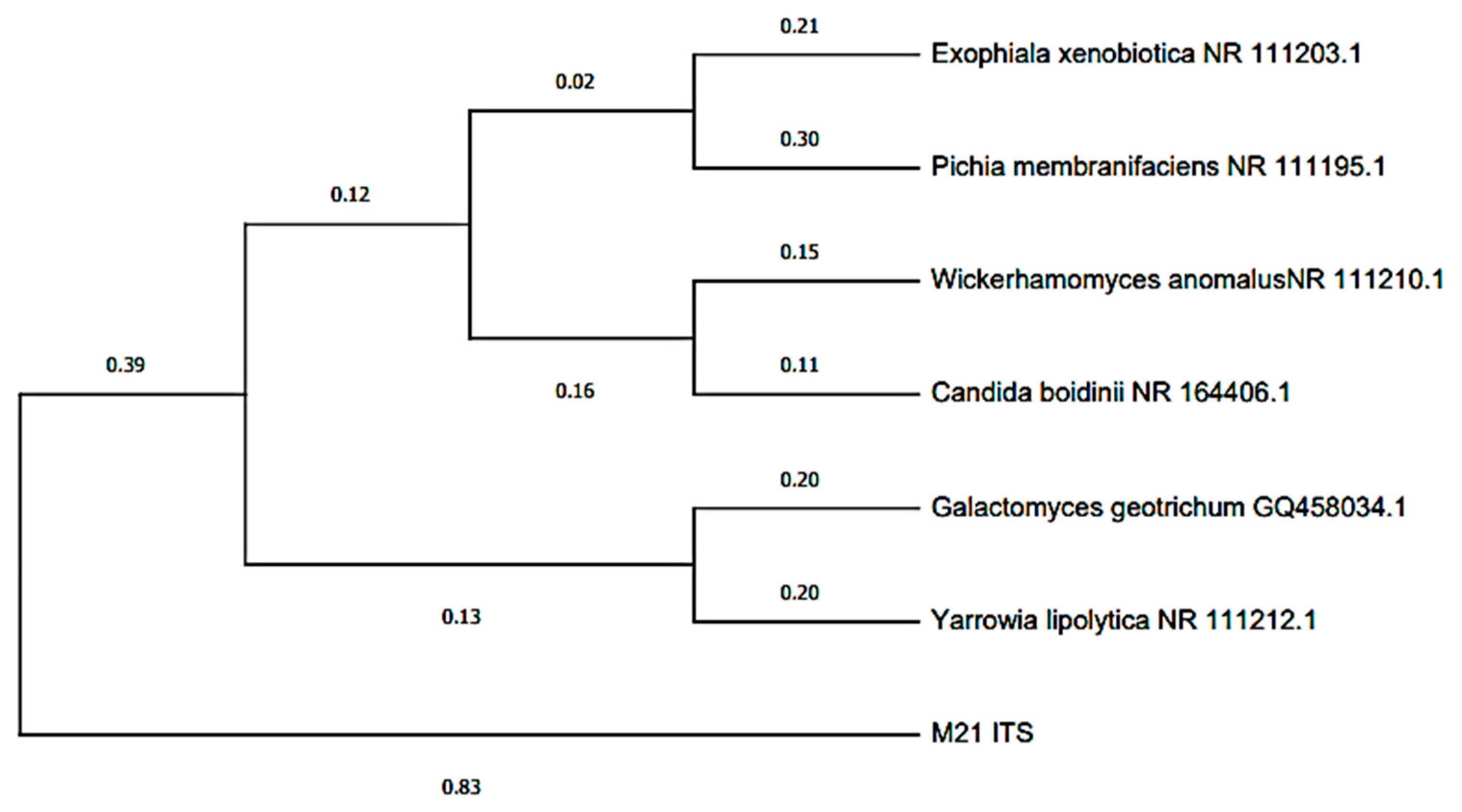 Molecules 27 07389 g005