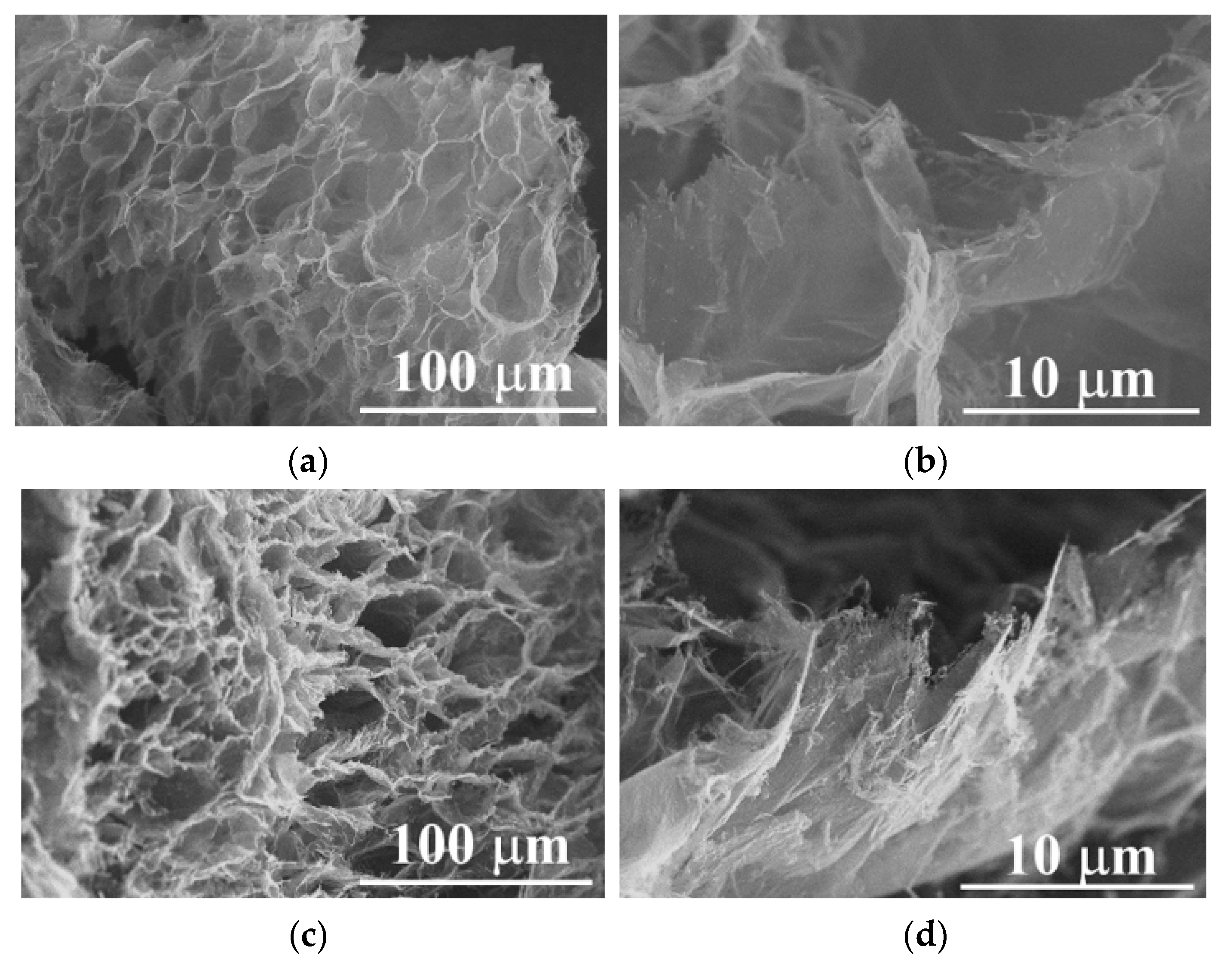 Molecules 27 07399 g008