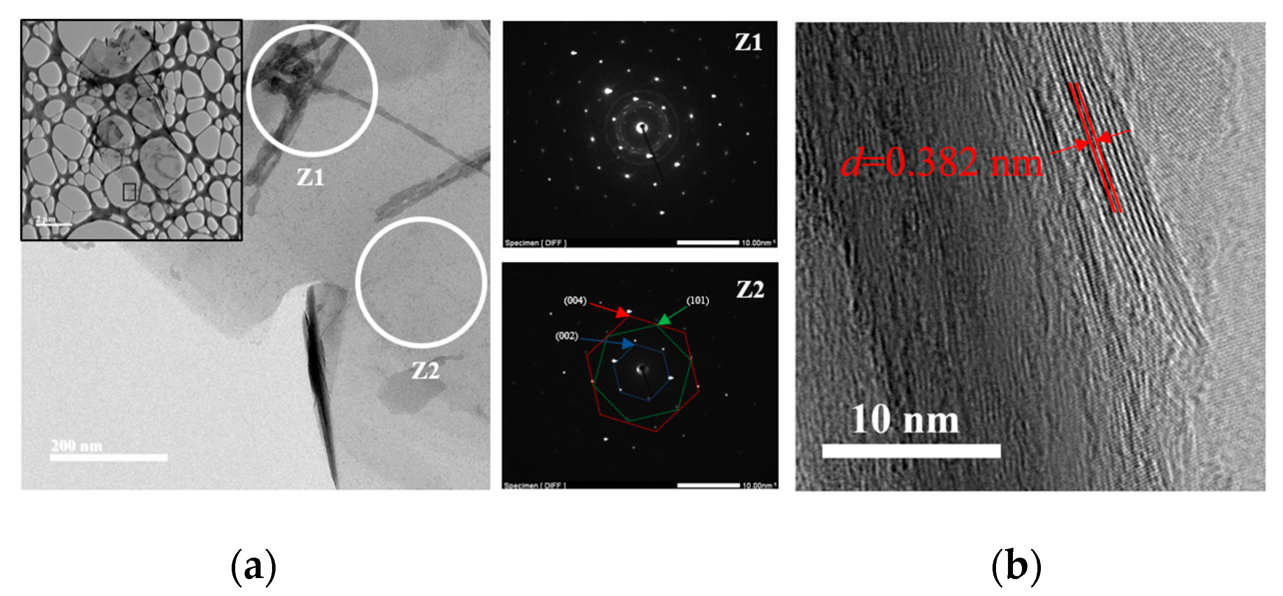 Molecules 27 07399 g012