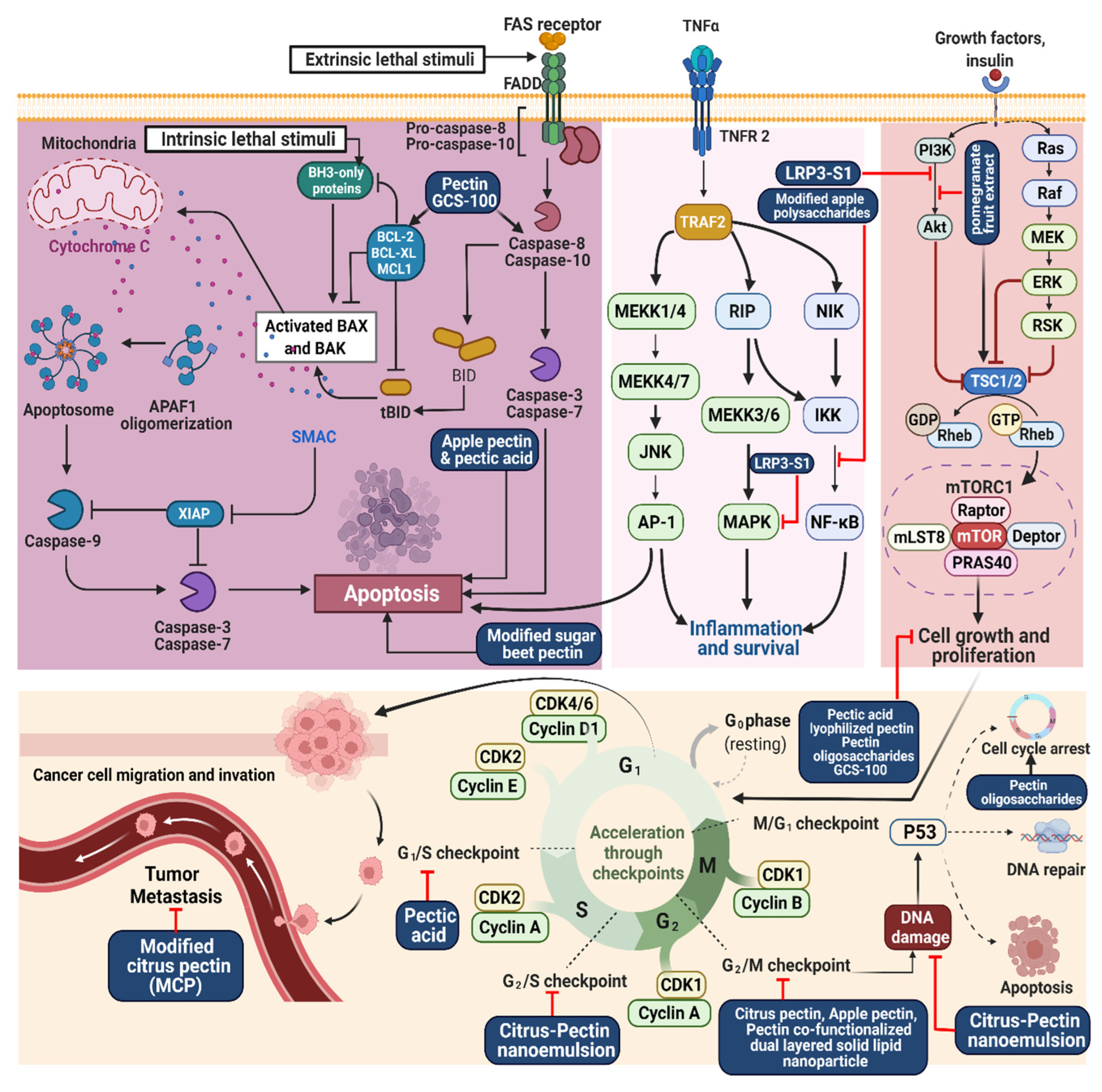 Molecules 27 07405 g002 Molecules 27 07405 g002