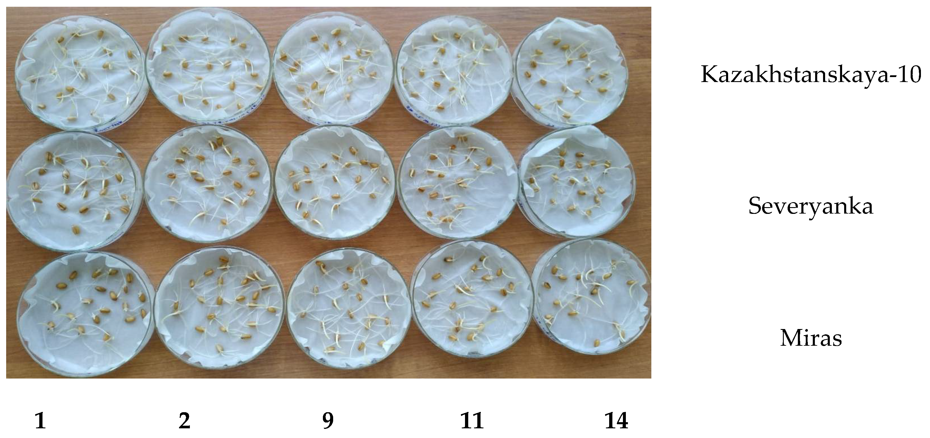 Molecules 27 07406 g002 Molecules 27 07406 g002
