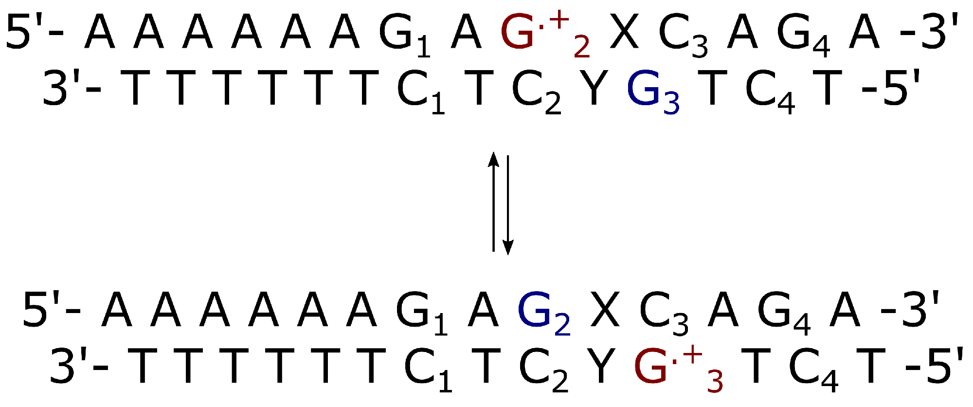 Molecules 27 07408 g004