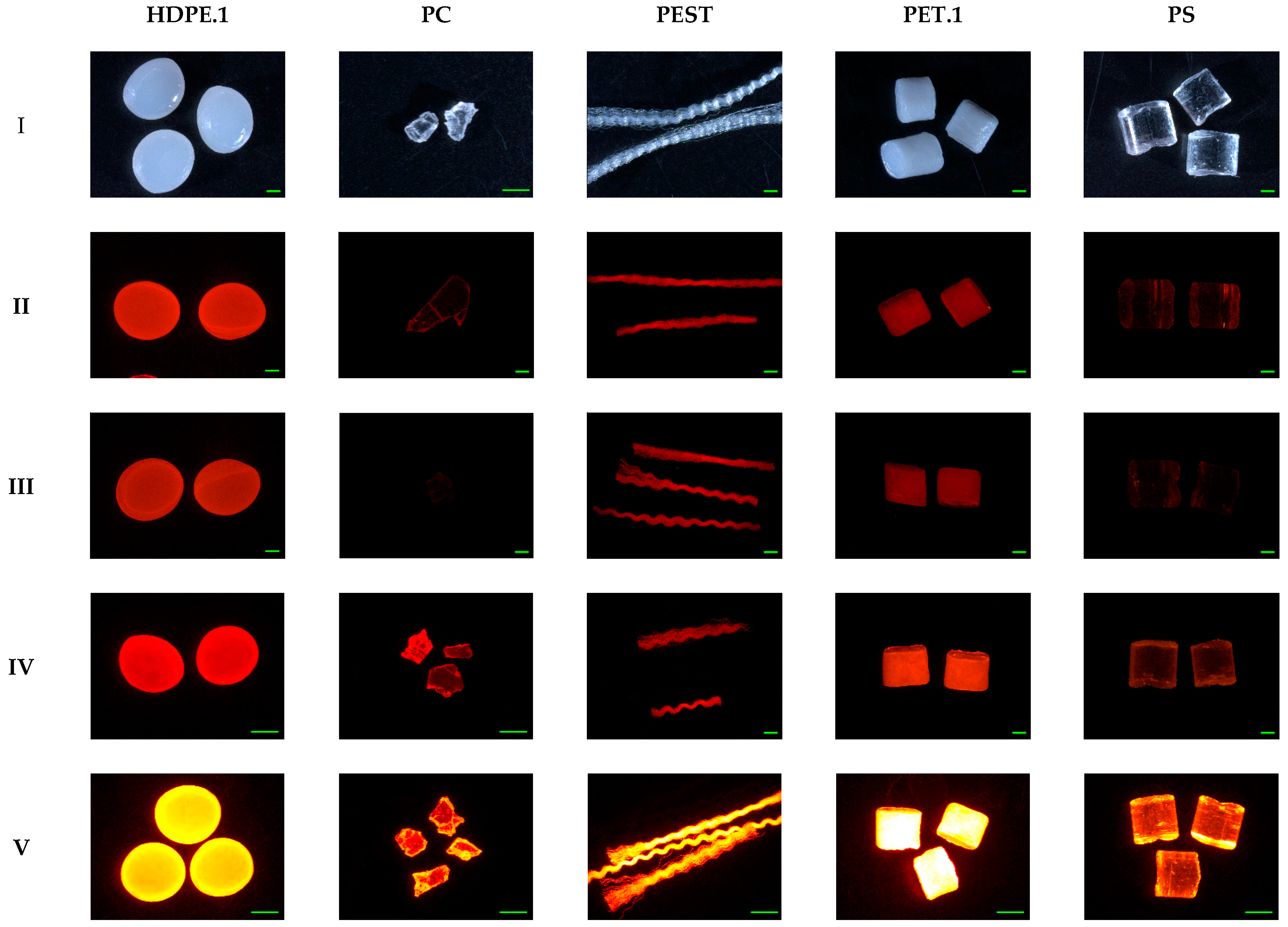 Molecules 27 07415 g003 Molecules 27 07415 g003