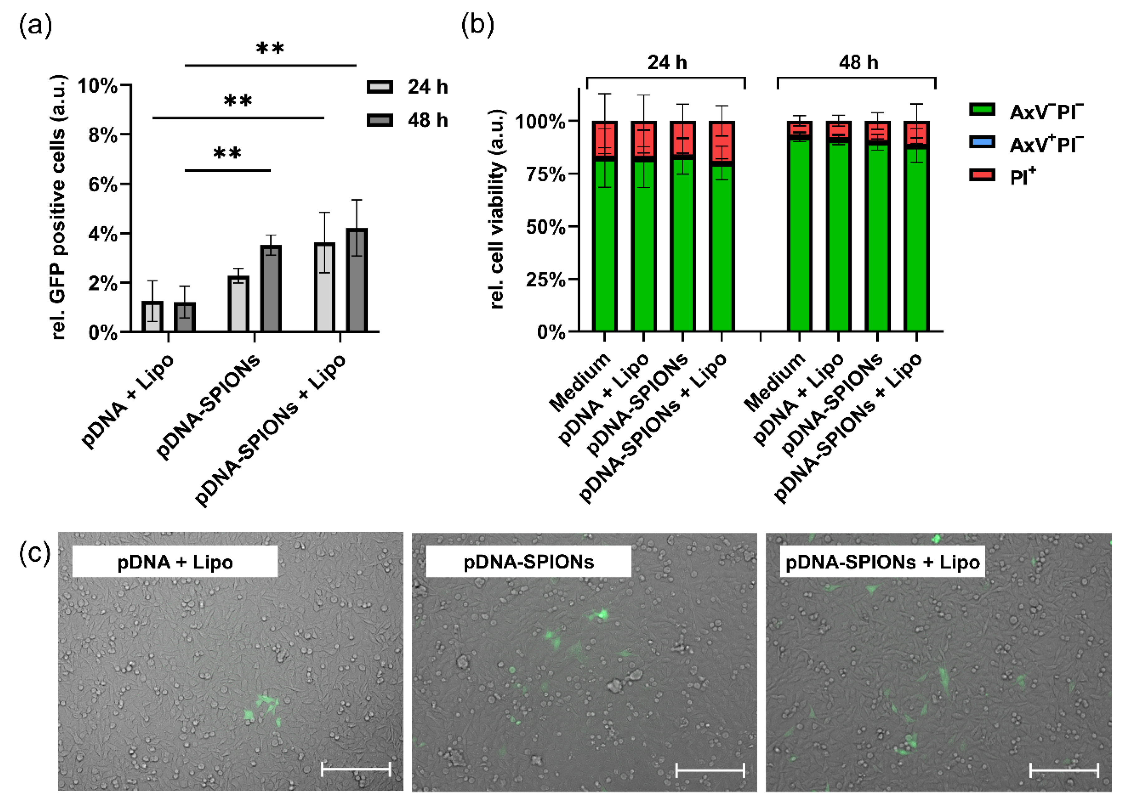 Molecules 27 07416 g003