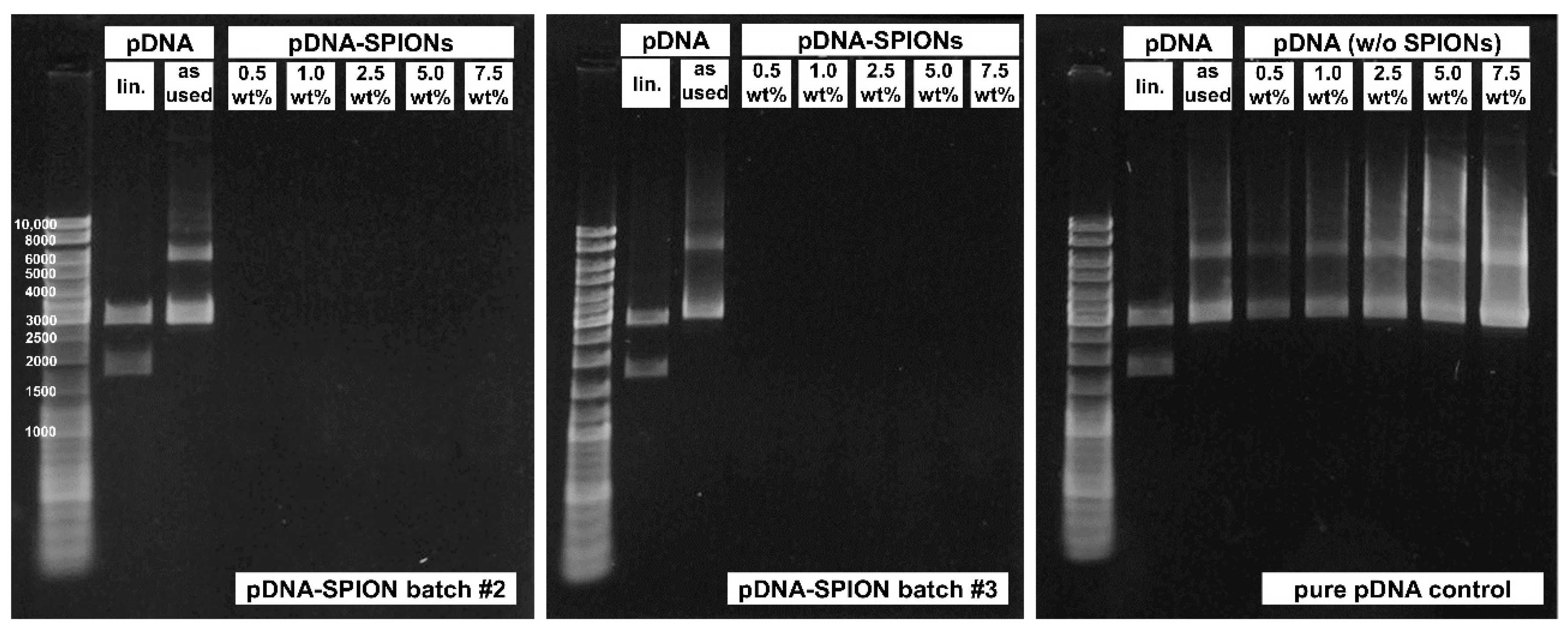 Molecules 27 07416 g0a2