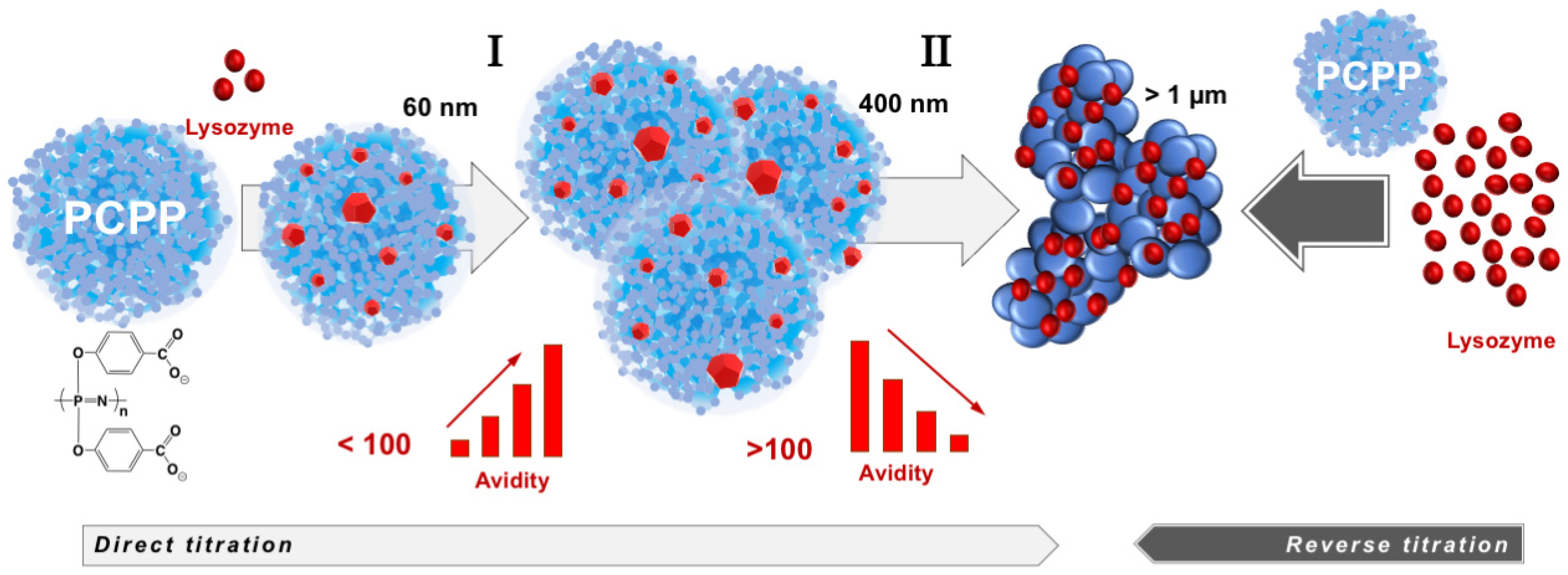 Molecules 27 07424 g005 Molecules 27 07424 g005