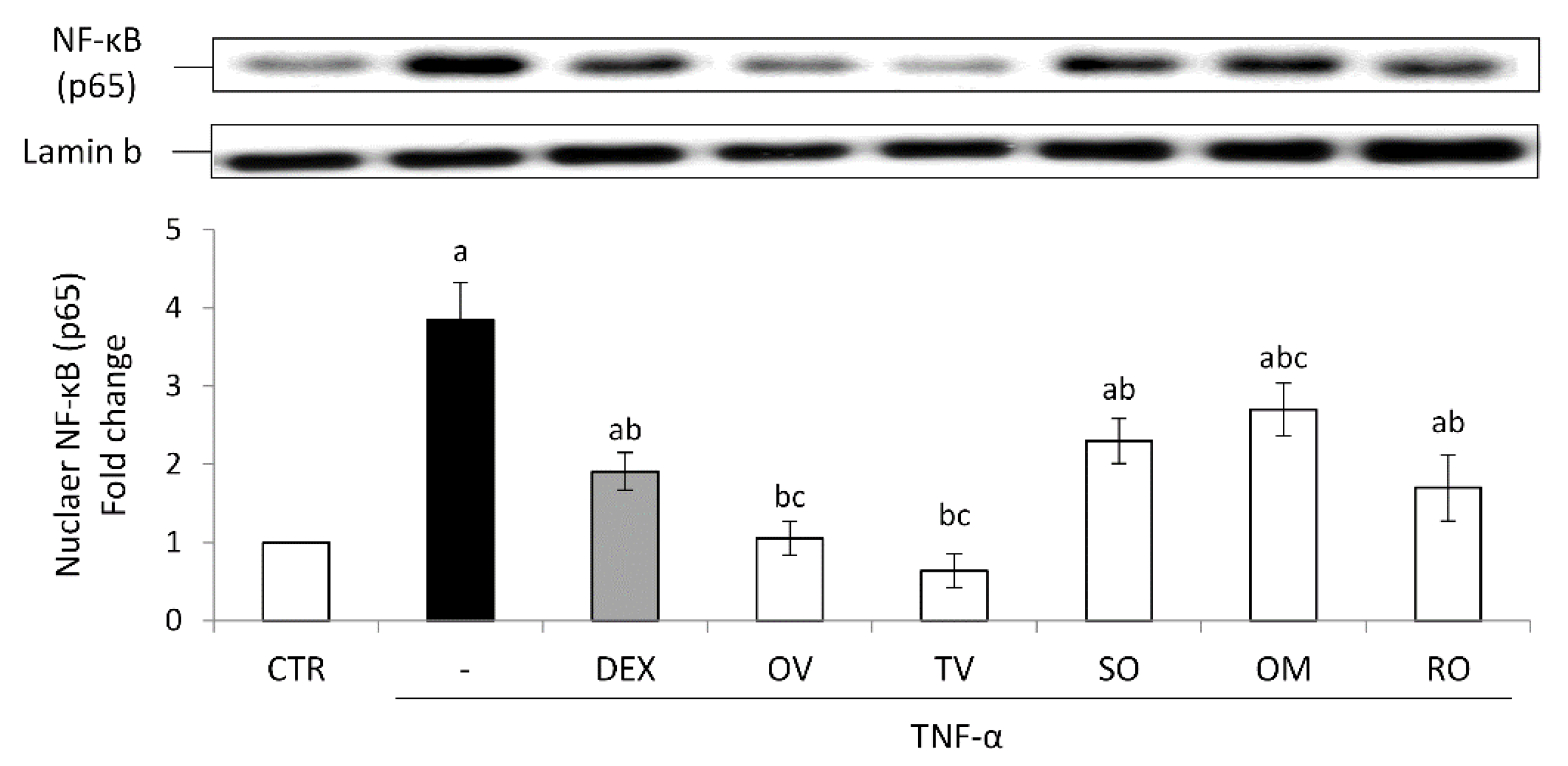 Molecules 27 07427 g005 Molecules 27 07427 g005