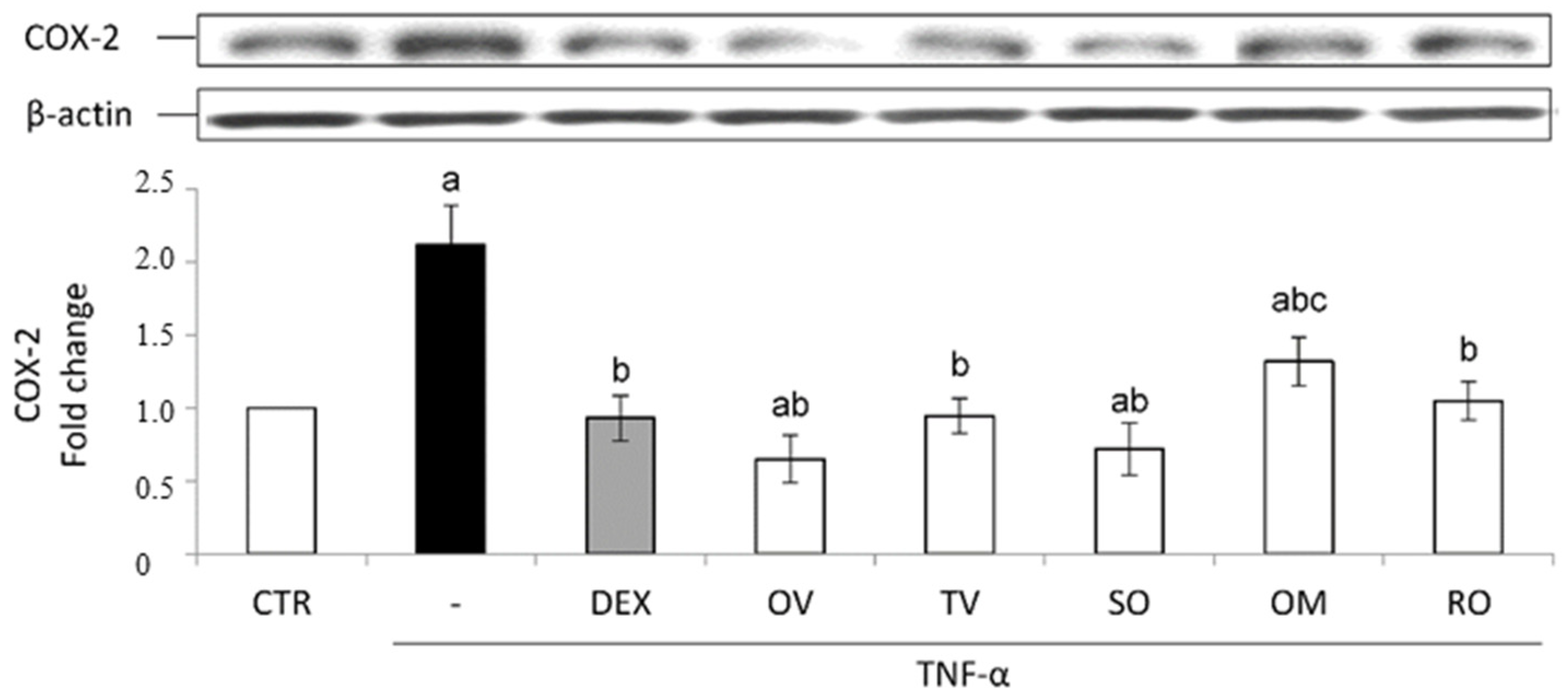 Molecules 27 07427 g006 Molecules 27 07427 g006