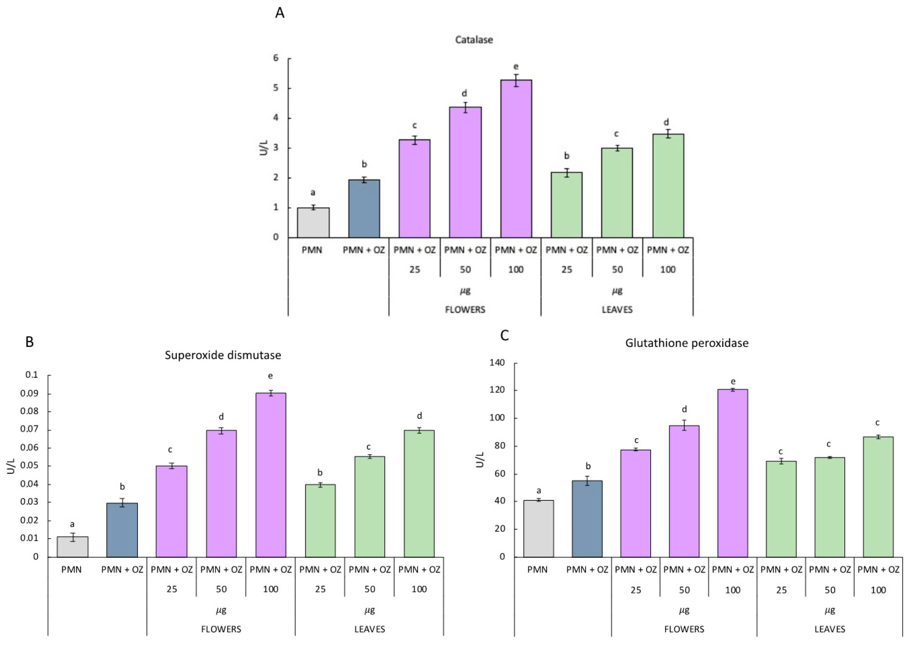 Molecules 27 07430 g004 Molecules 27 07430 g004