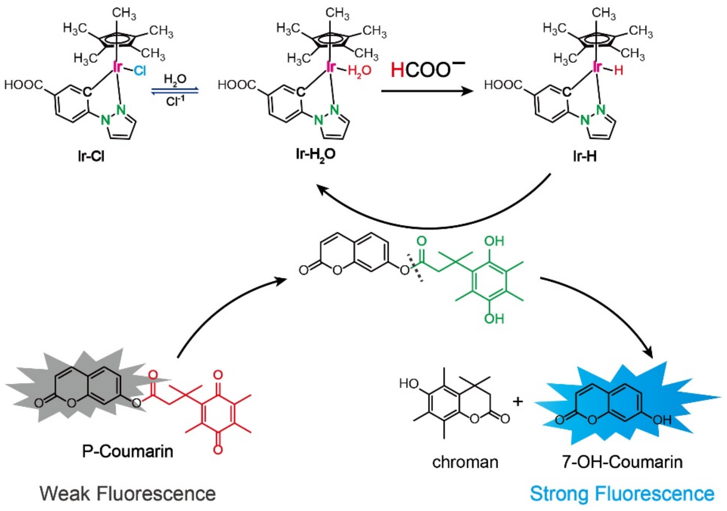 Molecules 27 07431 sch001
