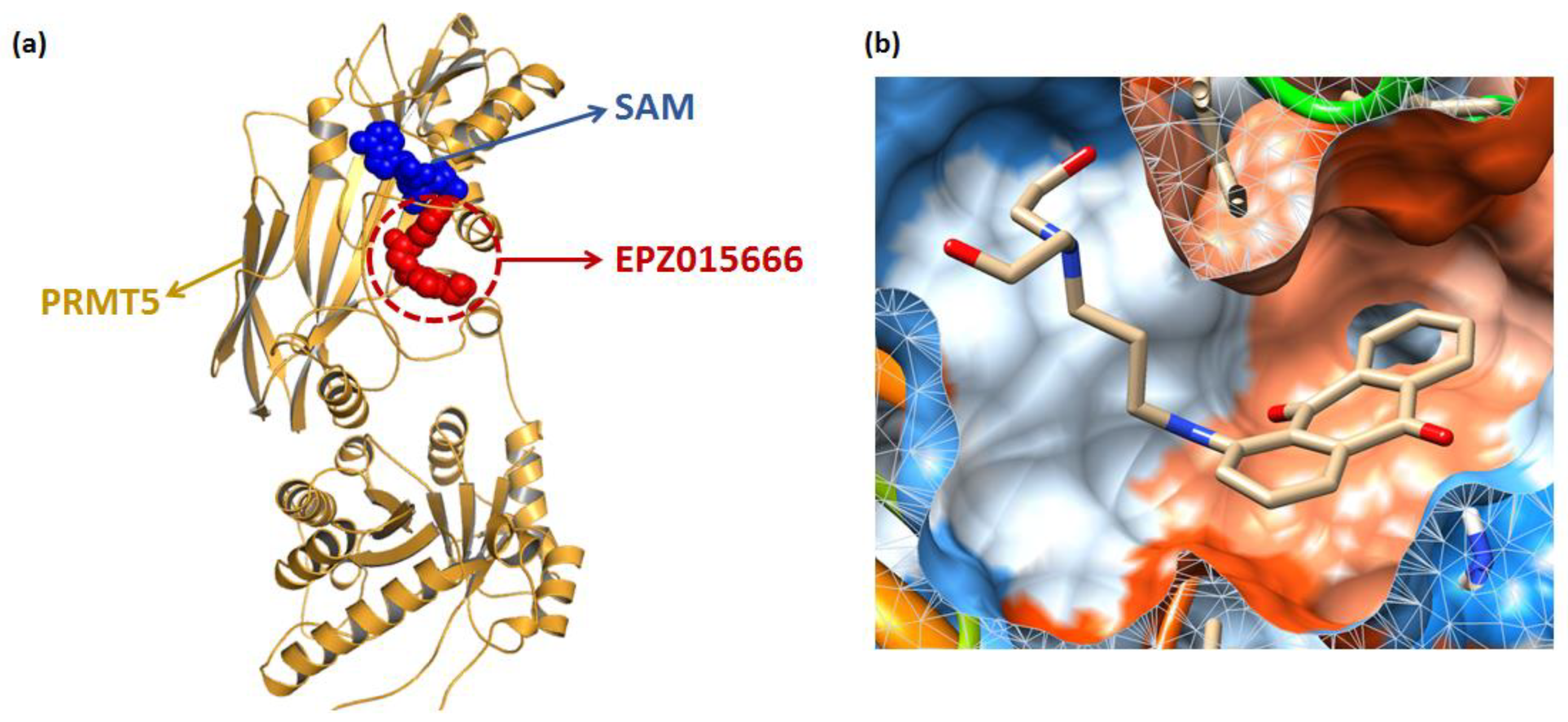 Molecules 27 07436 g002 Molecules 27 07436 g002