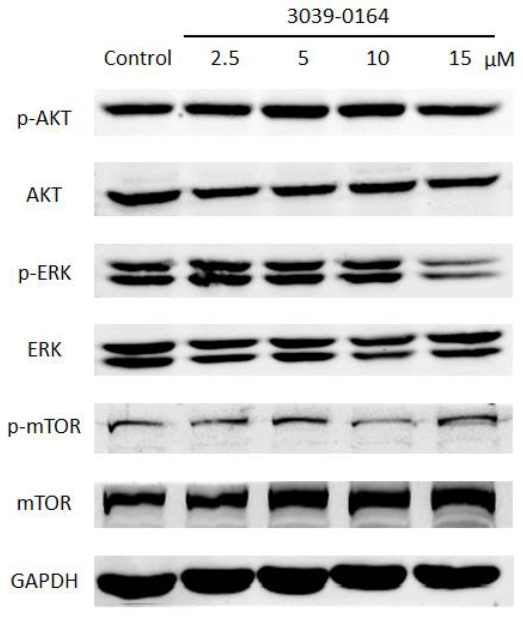 Molecules 27 07436 g006 Molecules 27 07436 g006