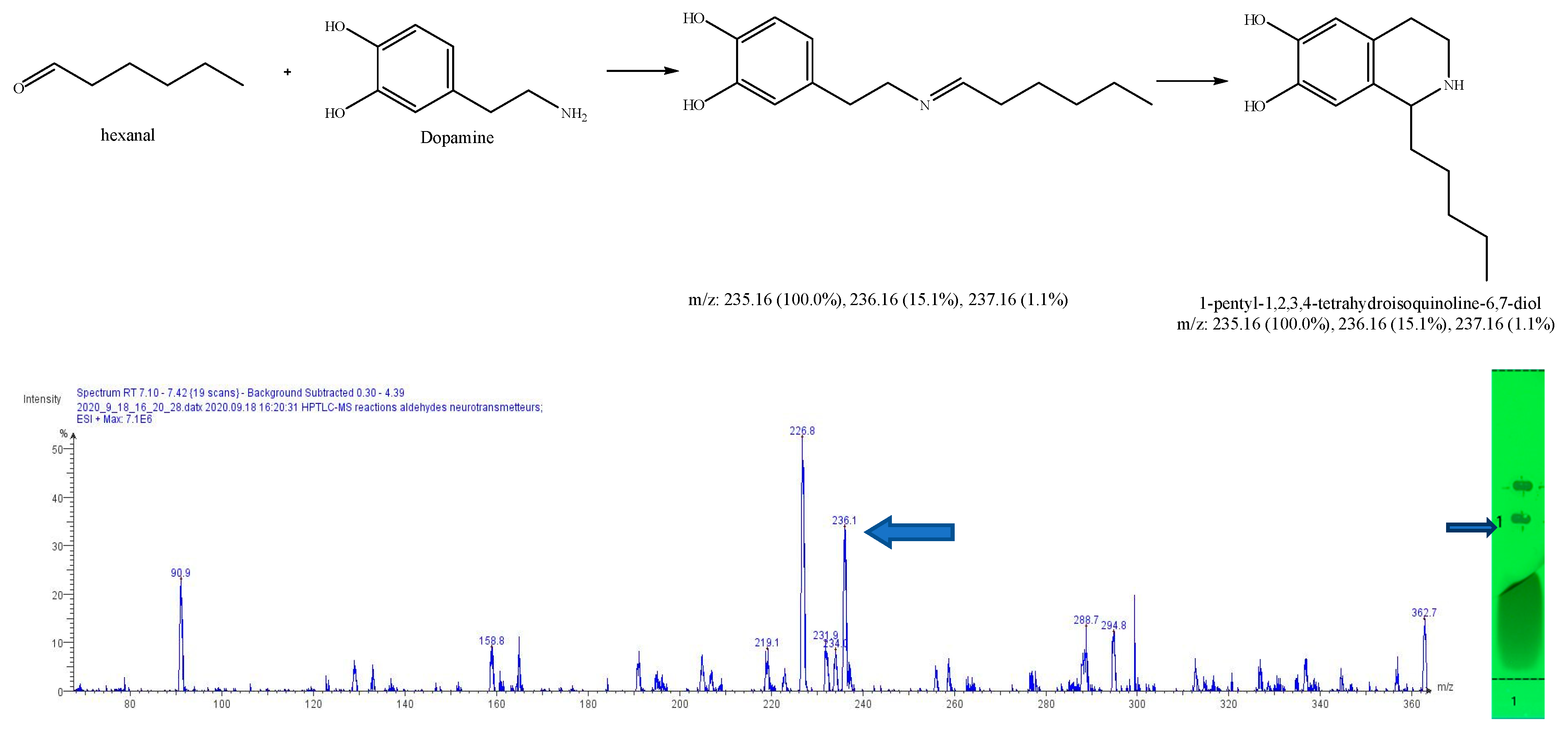 Molecules 27 07443 g010