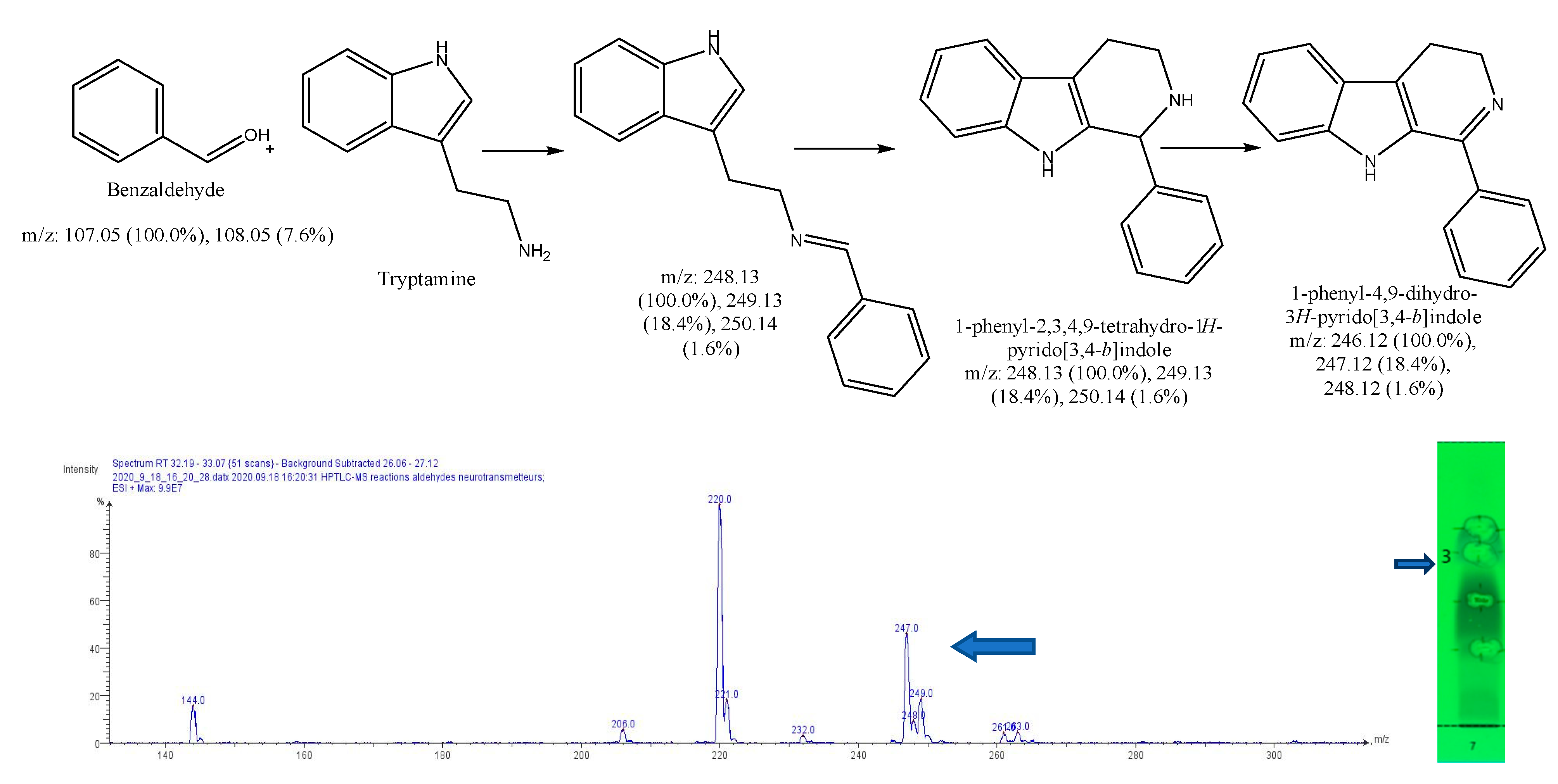 Molecules 27 07443 g013