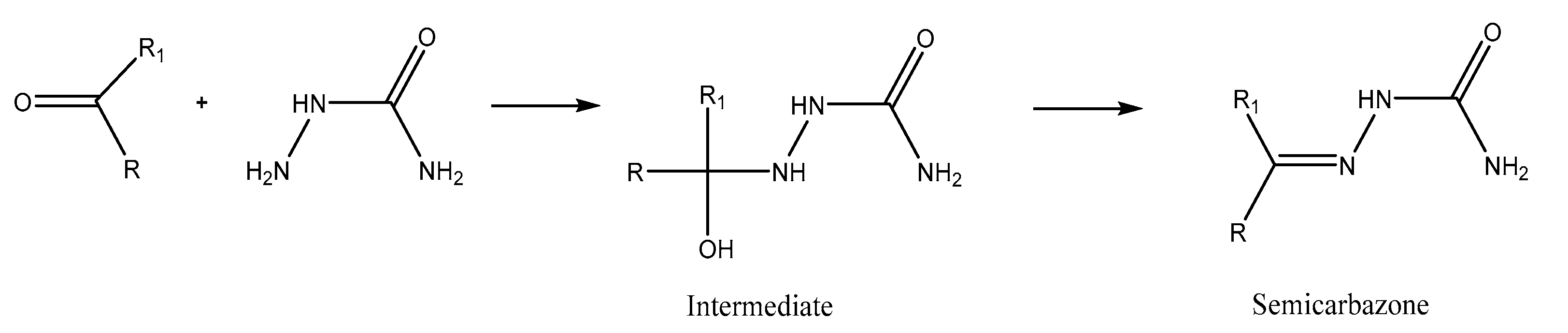 Molecules 27 07443 g017