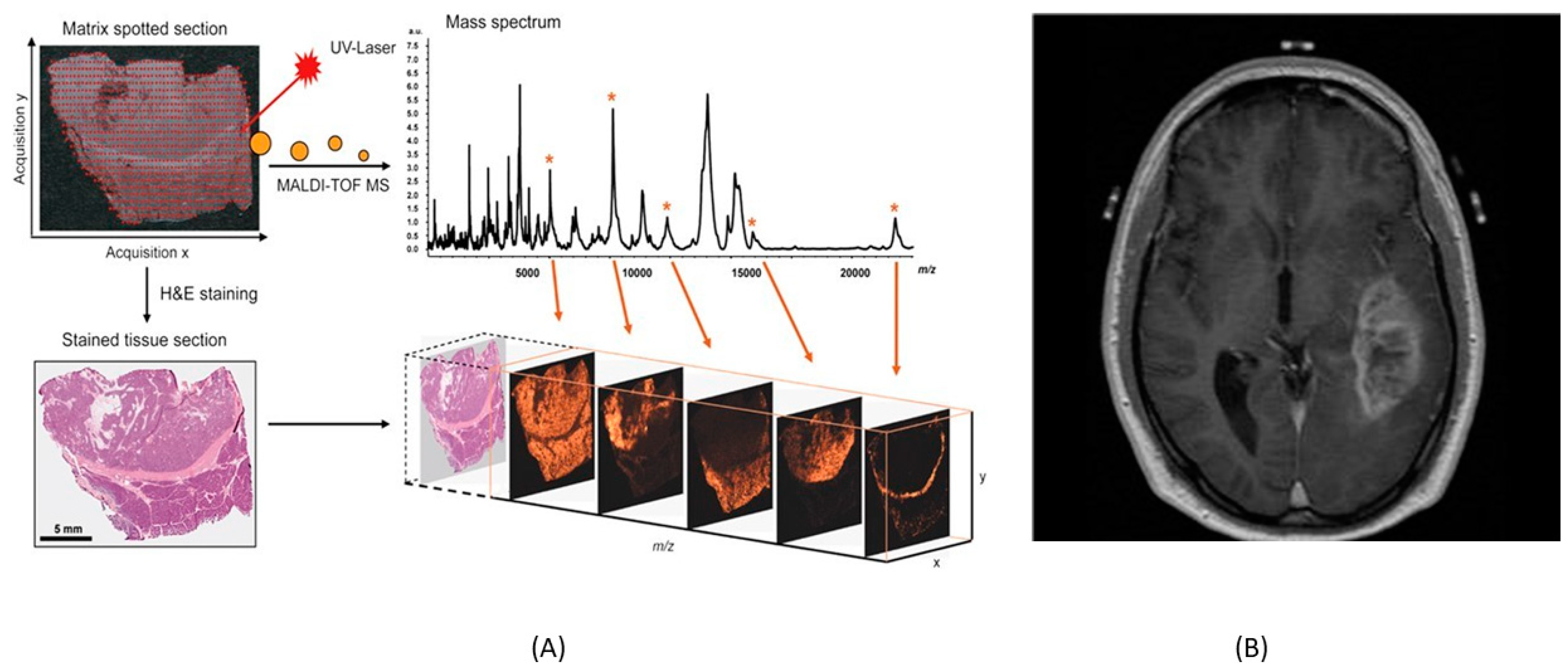 Molecules 27 07448 g002