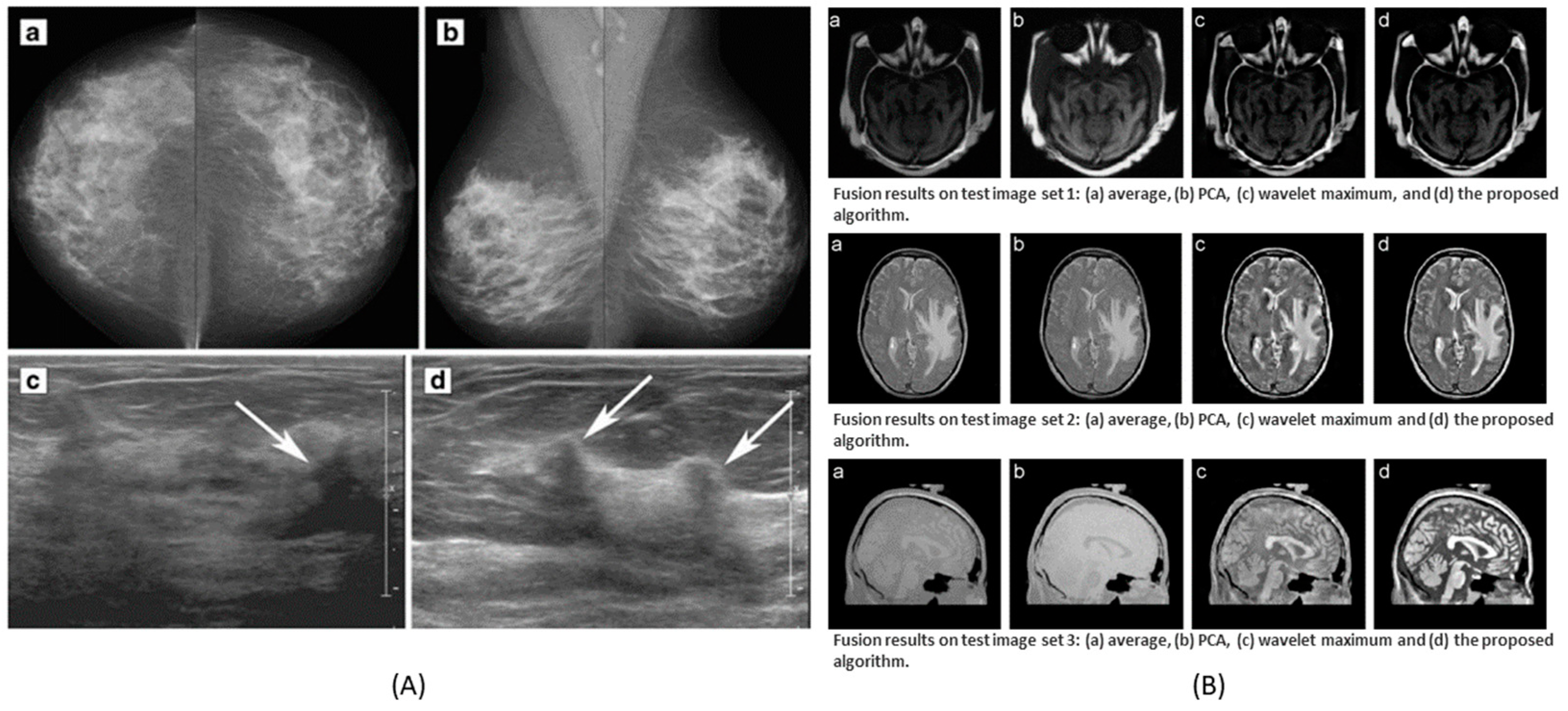 Molecules 27 07448 g006
