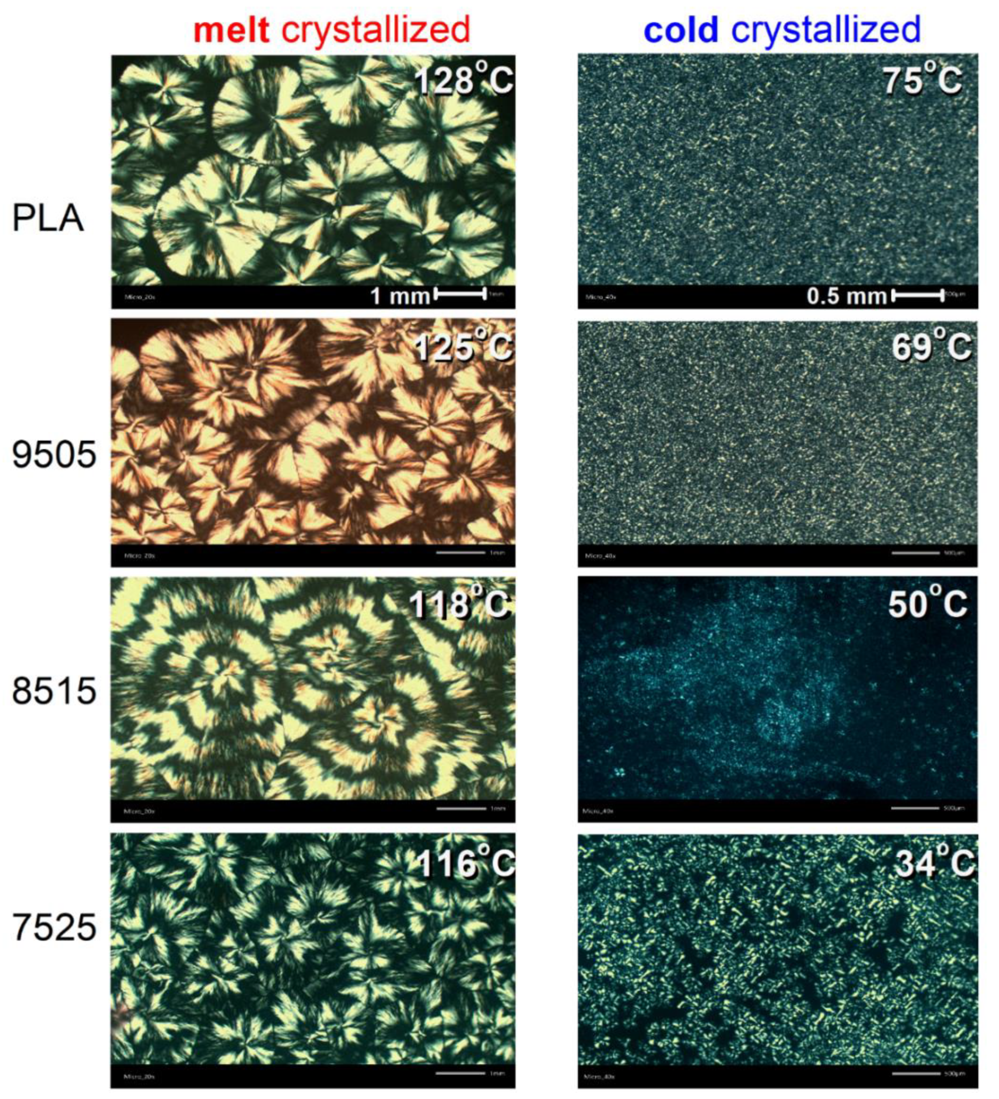 Molecules 27 07449 g006 Molecules 27 07449 g006