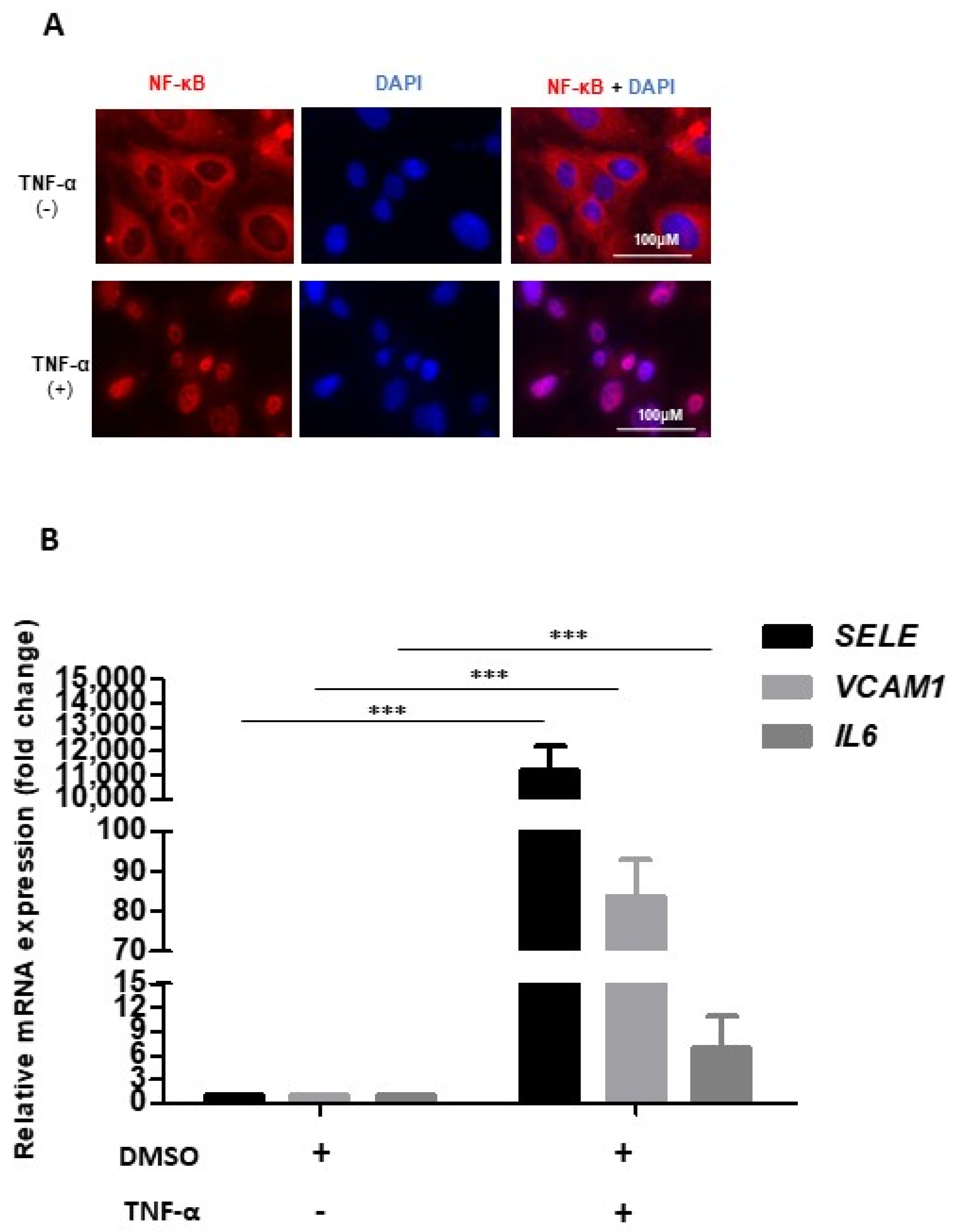 Molecules 27 07453 g001 Molecules 27 07453 g001