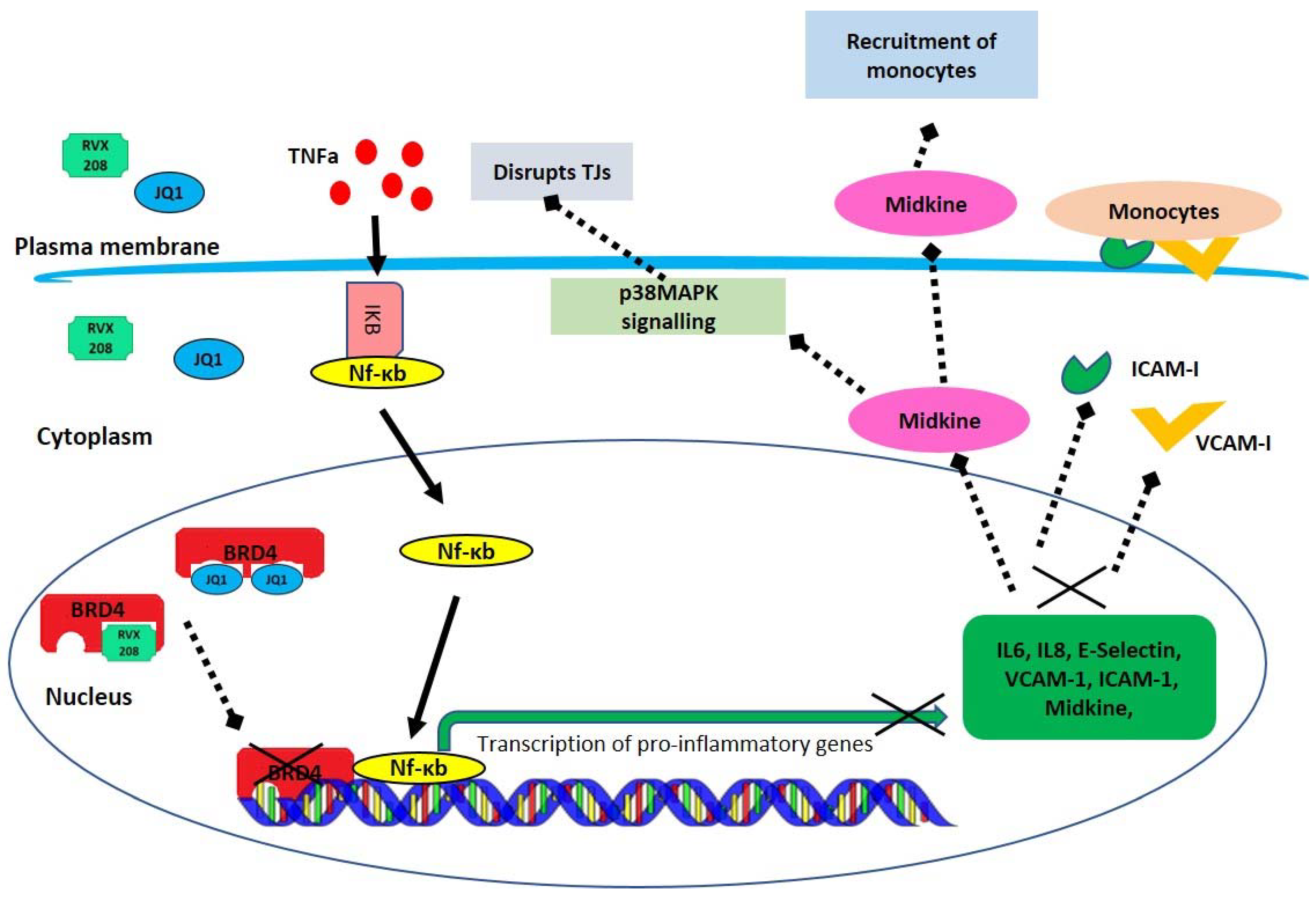Molecules 27 07453 g008 Molecules 27 07453 g008