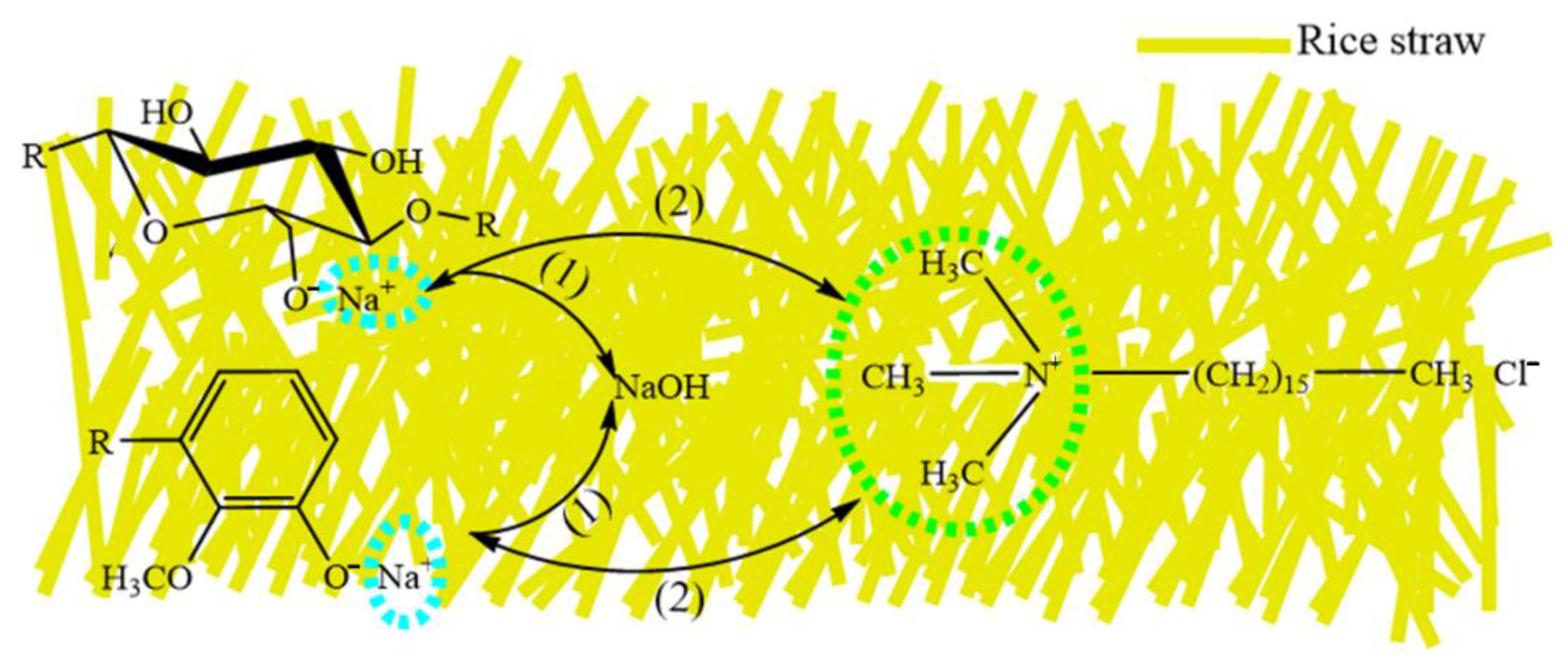 Molecules 27 07459 g001
