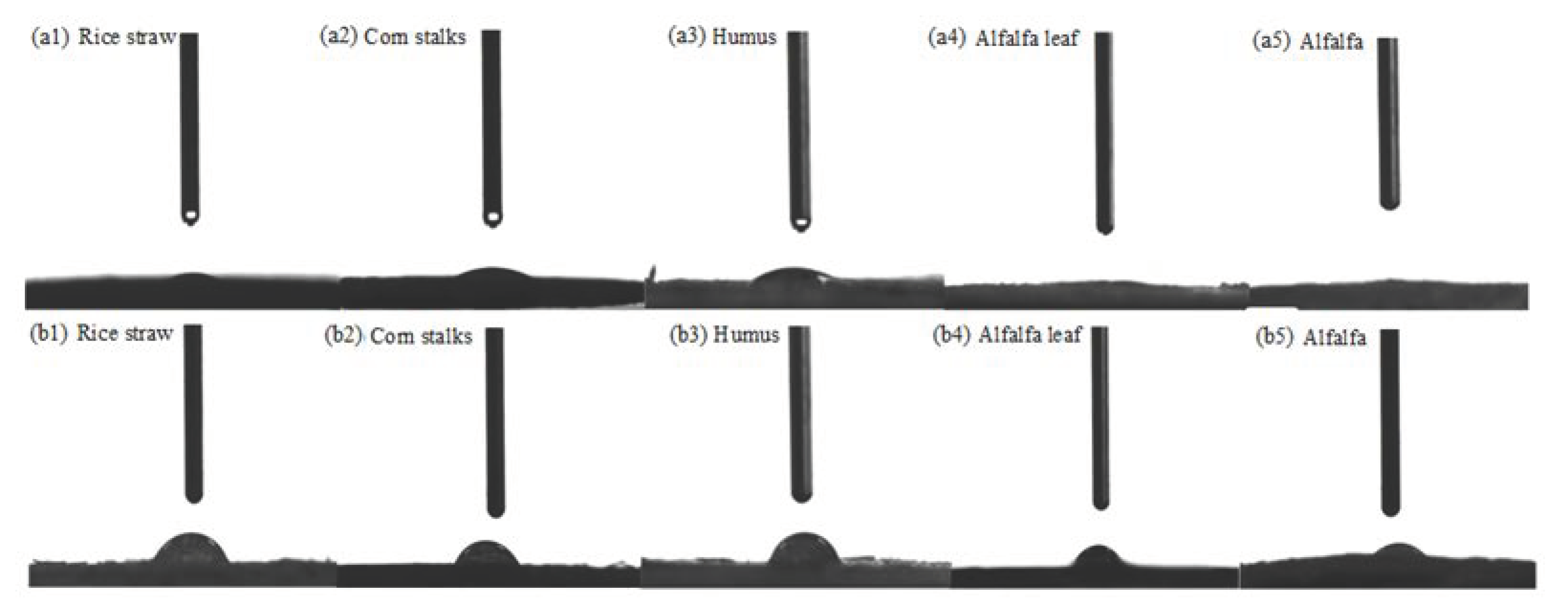 Molecules 27 07459 g004