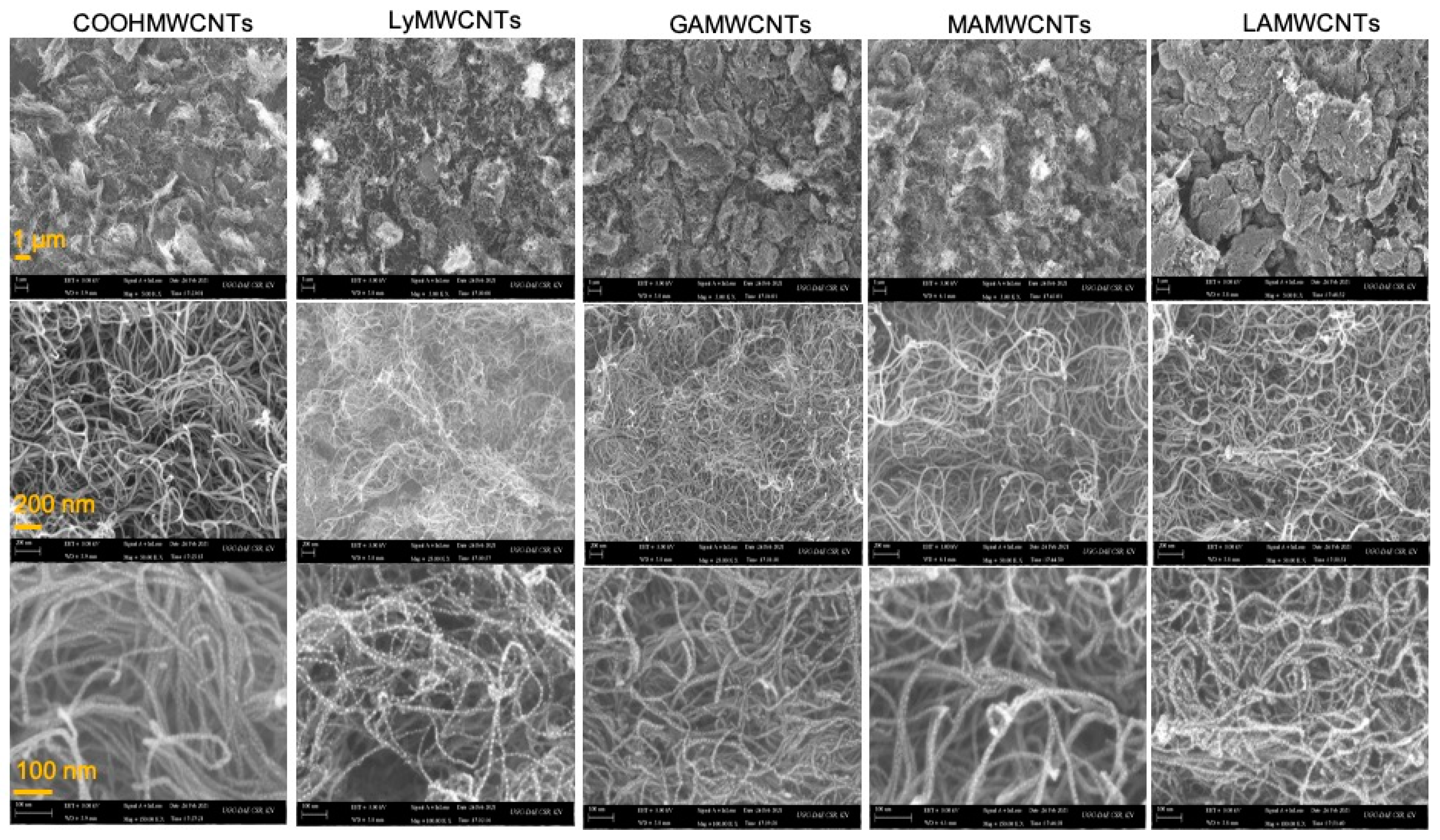 Molecules 27 07461 g007