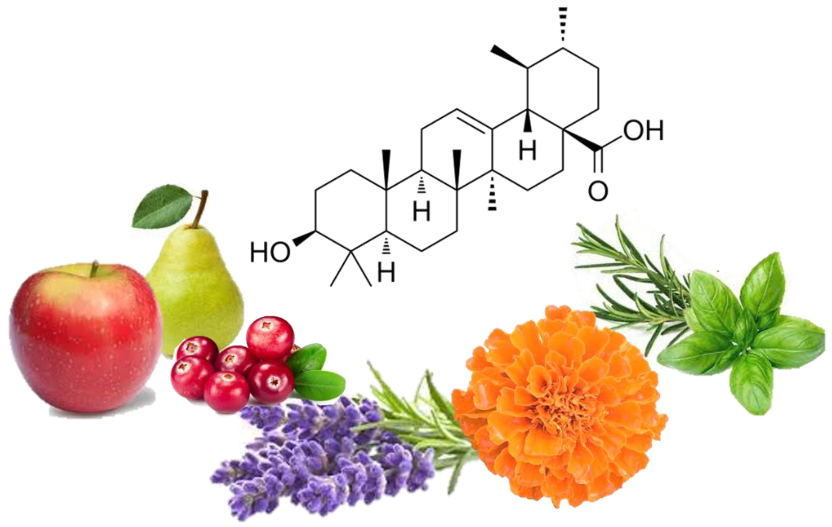 Molecules 27 07466 g001 Molecules 27 07466 g001