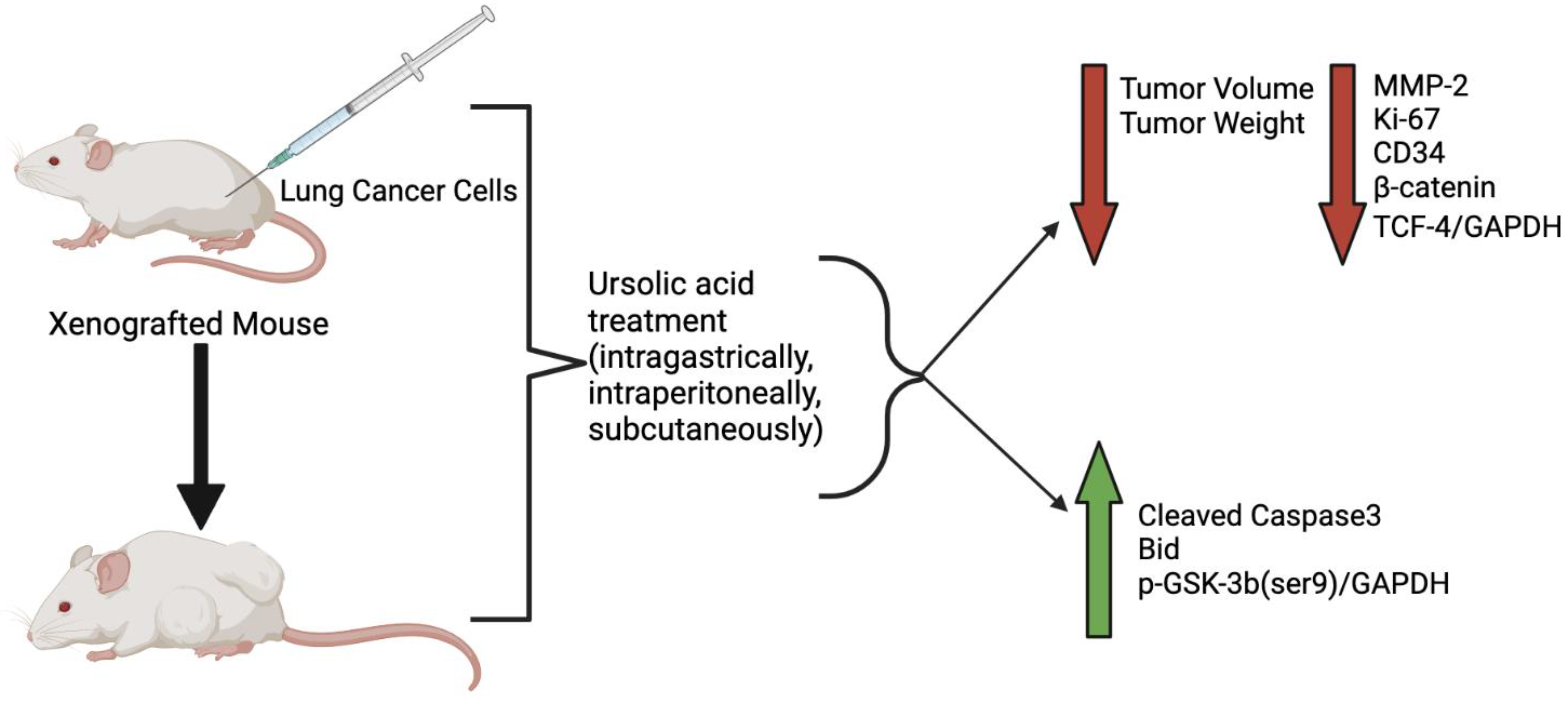 Molecules 27 07466 g003 Molecules 27 07466 g003