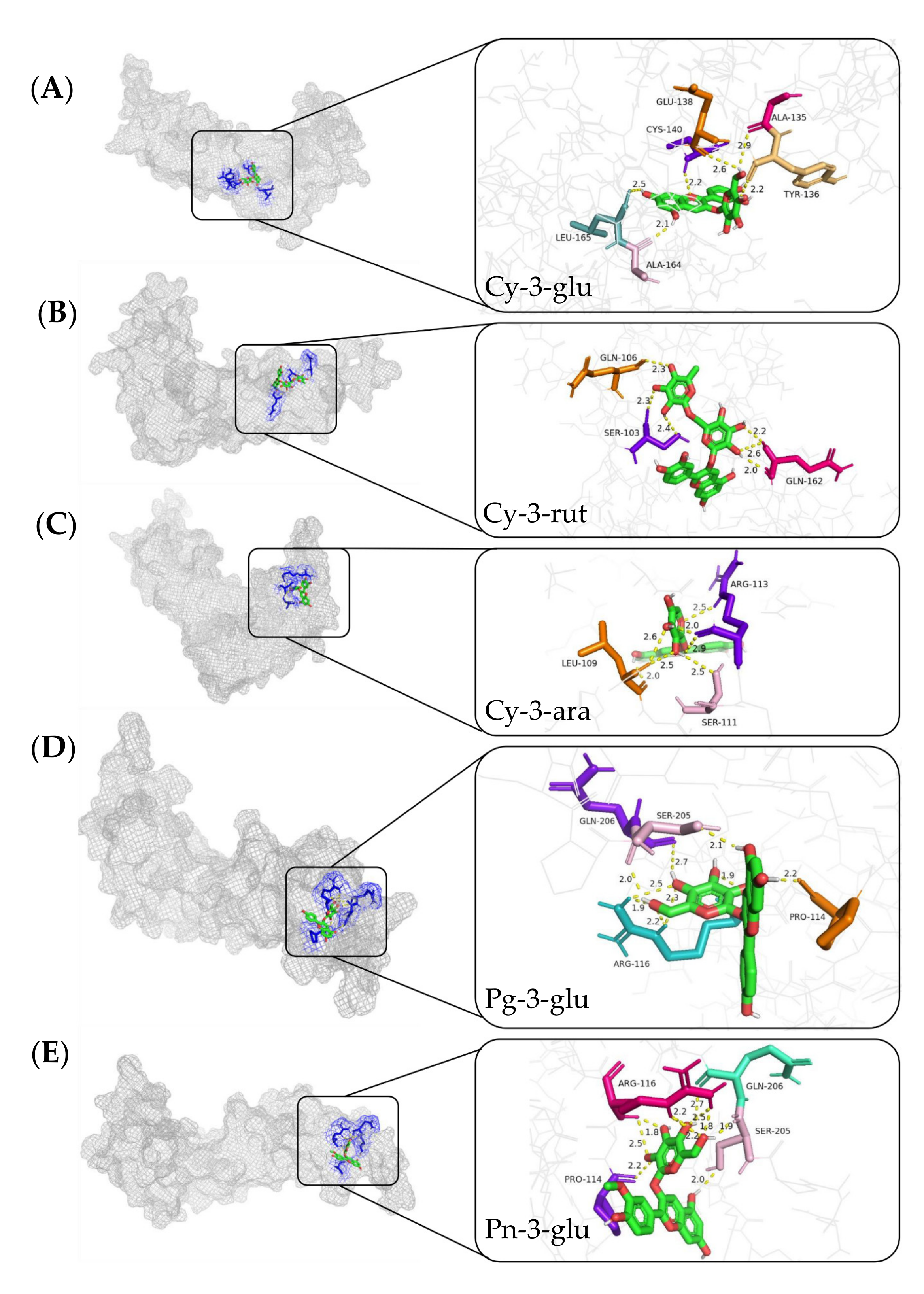 Molecules 27 07475 g004 Molecules 27 07475 g004
