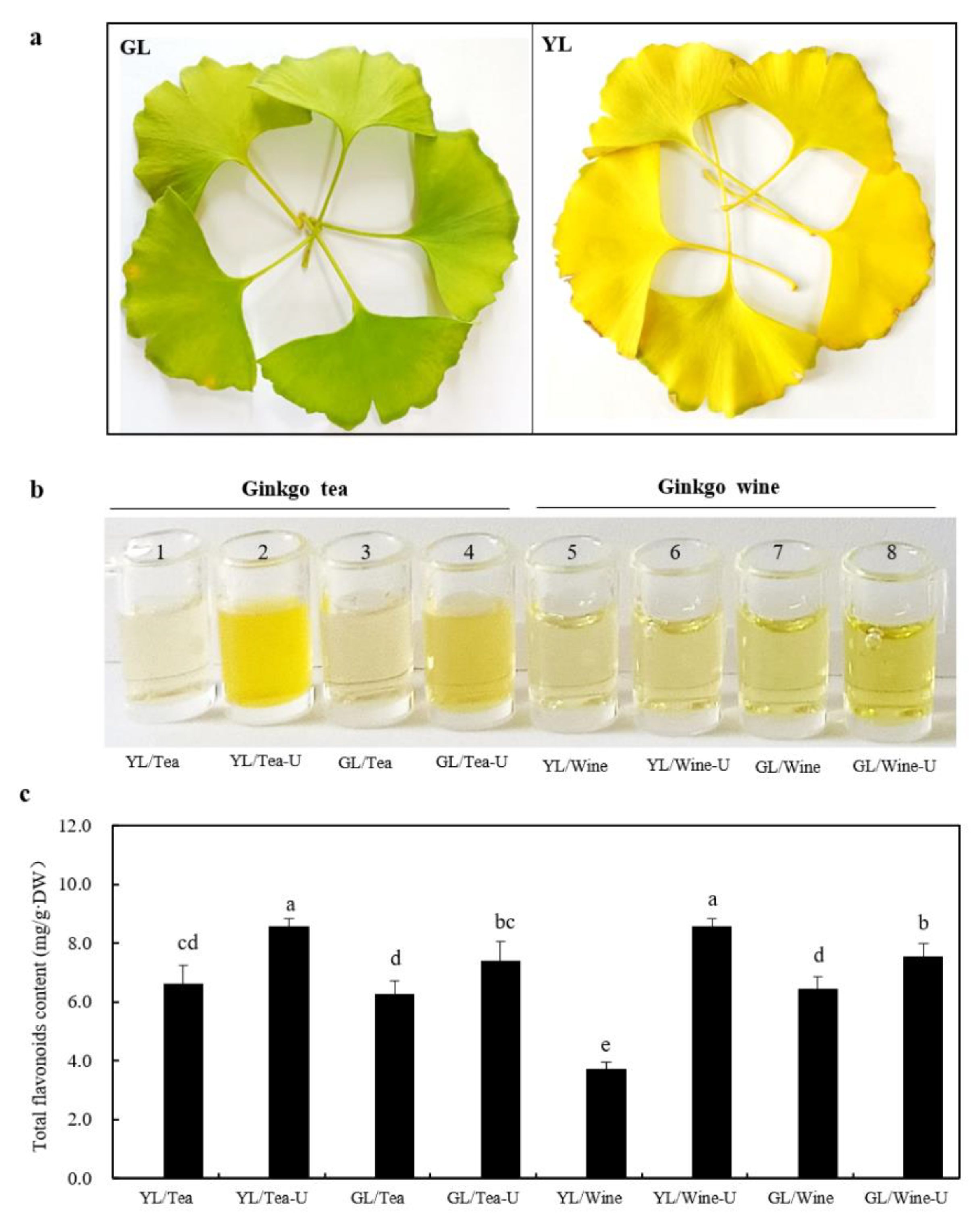 Medicinal Values and Potential Risks Evaluation of Ginkgo