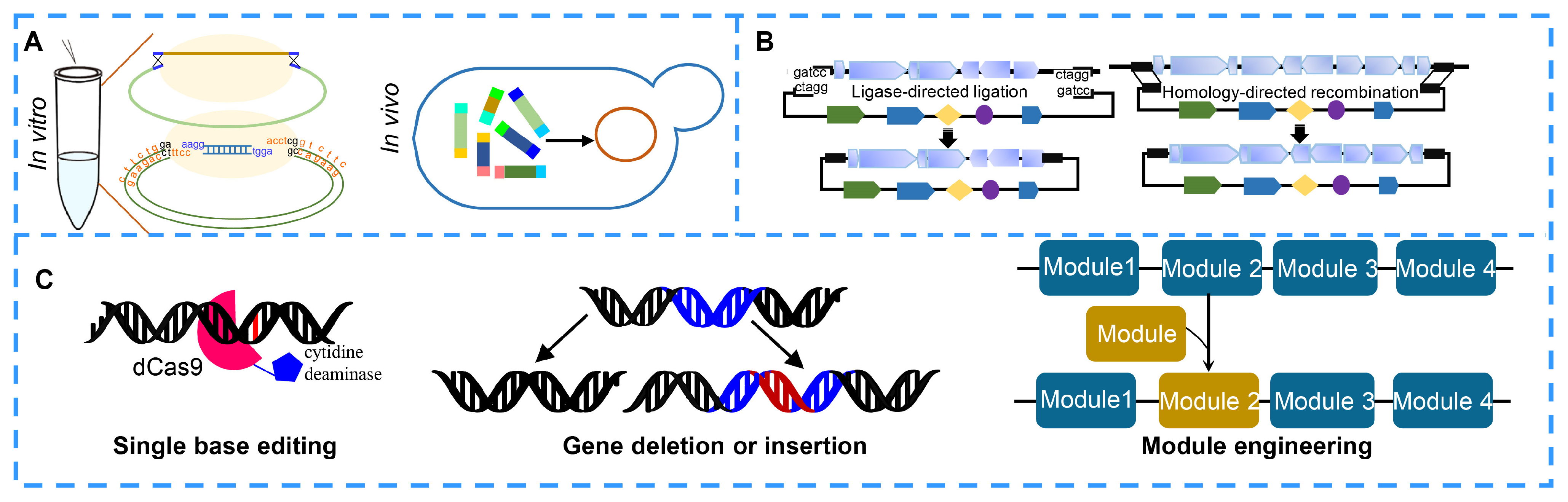 Molecules 27 07480 g005 Molecules 27 07480 g005