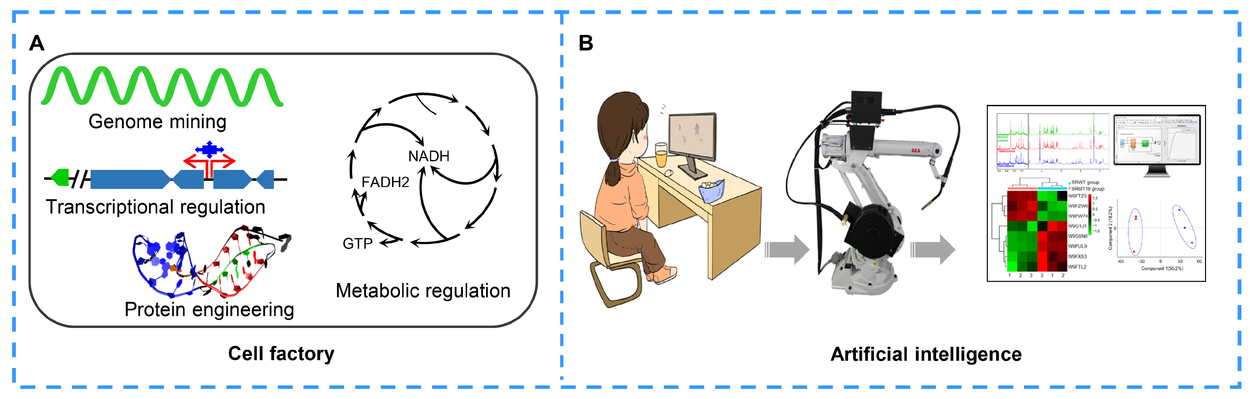 Molecules 27 07480 g006 Molecules 27 07480 g006