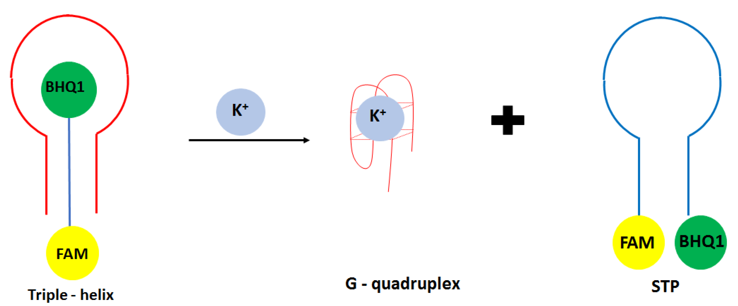 Molecules 27 07481 g004